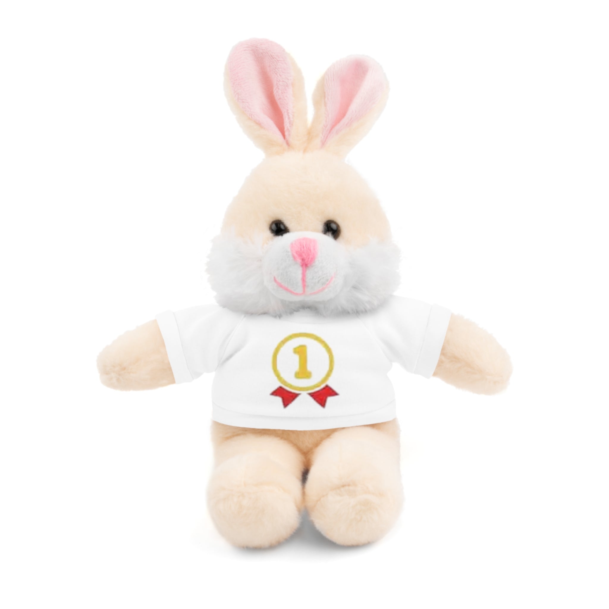 1st Place Gymnastics Stuffed Animal with Gymnastics T-Shirt
