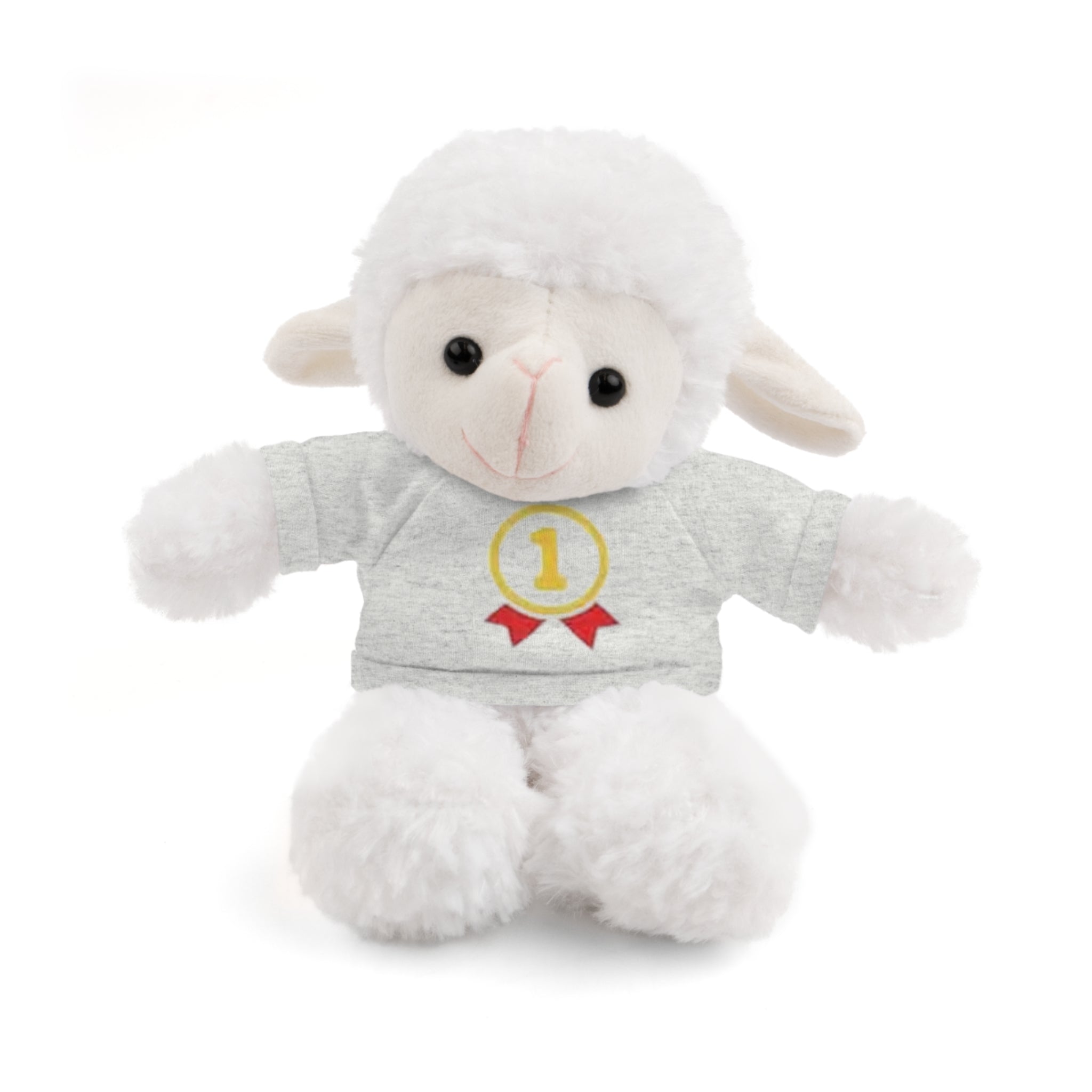 1st Place Gymnastics Stuffed Animal with Gymnastics T-Shirt