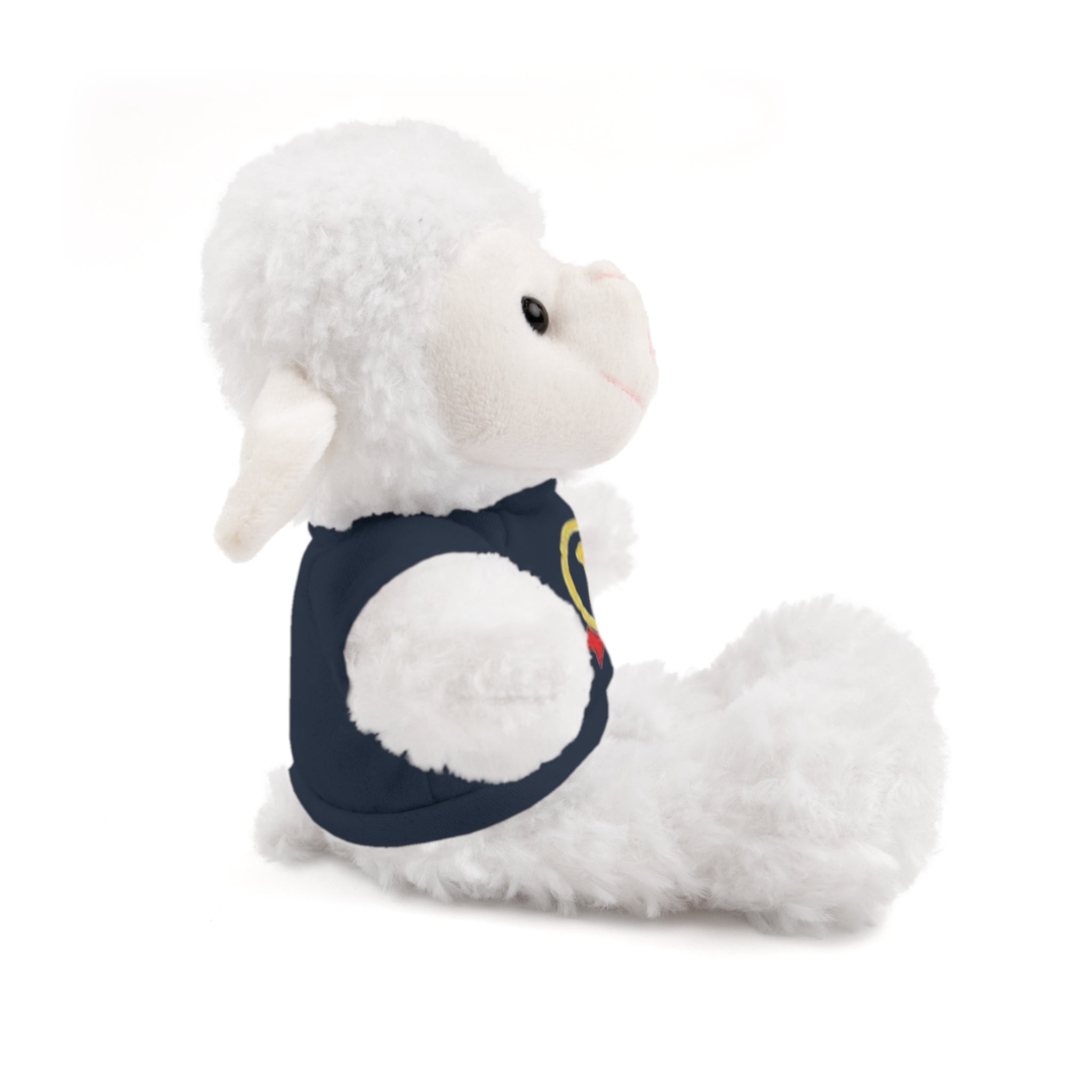 1st Place Gymnastics Stuffed Animal with Gymnastics T-Shirt
