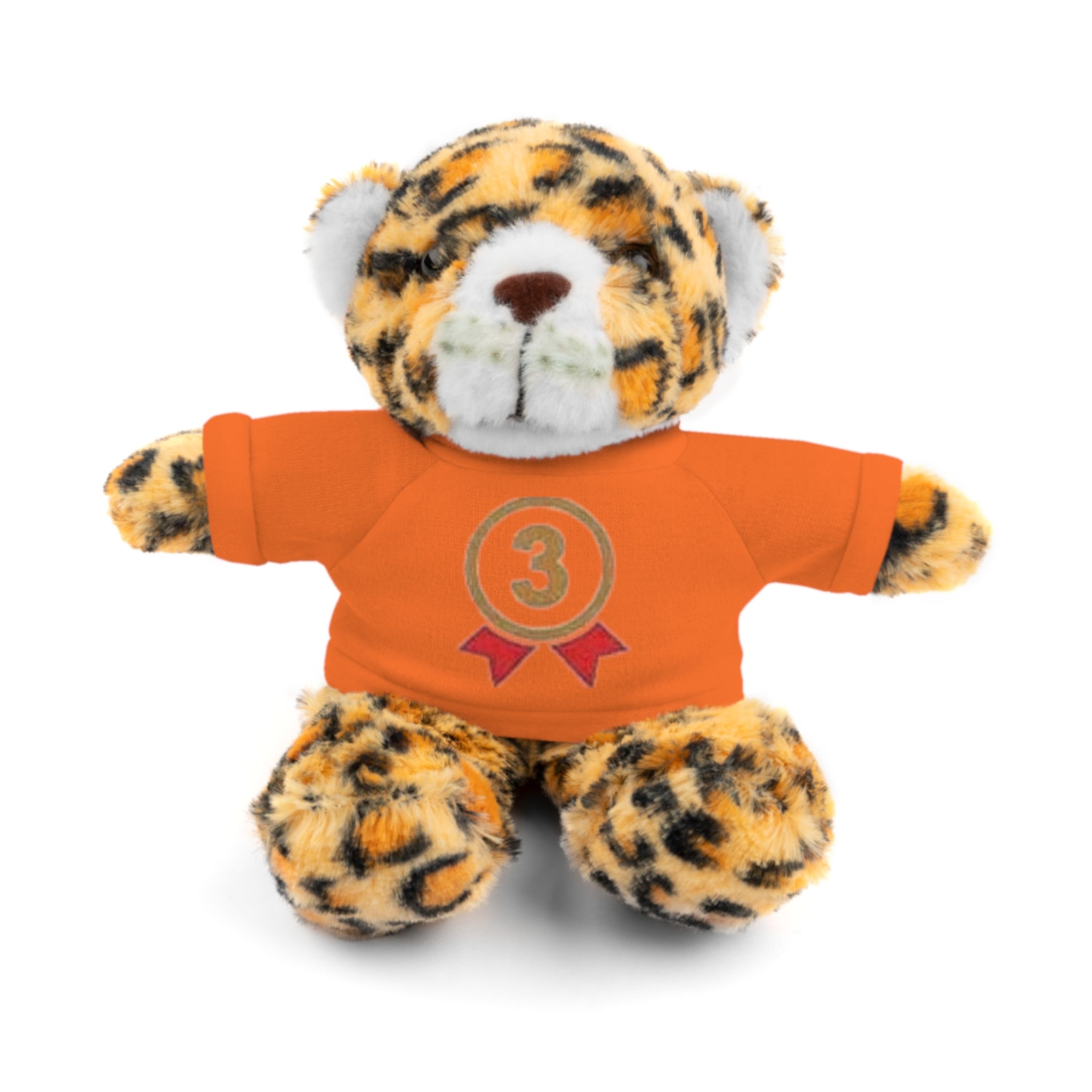 3rd Place Gymnastics Stuffed Animal with Gymnastics T-Shirt