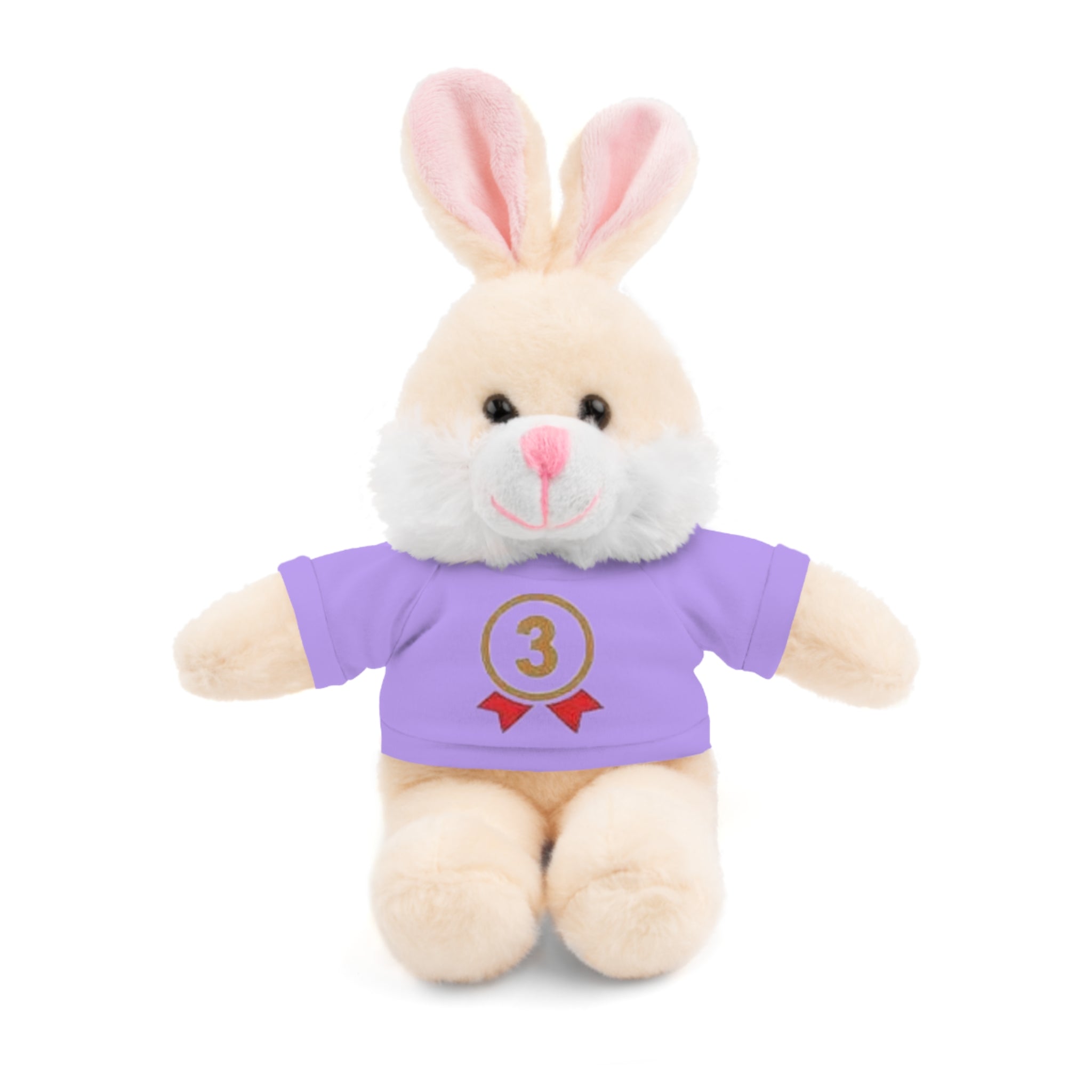 3rd Place Gymnastics Stuffed Animal with Gymnastics T-Shirt
