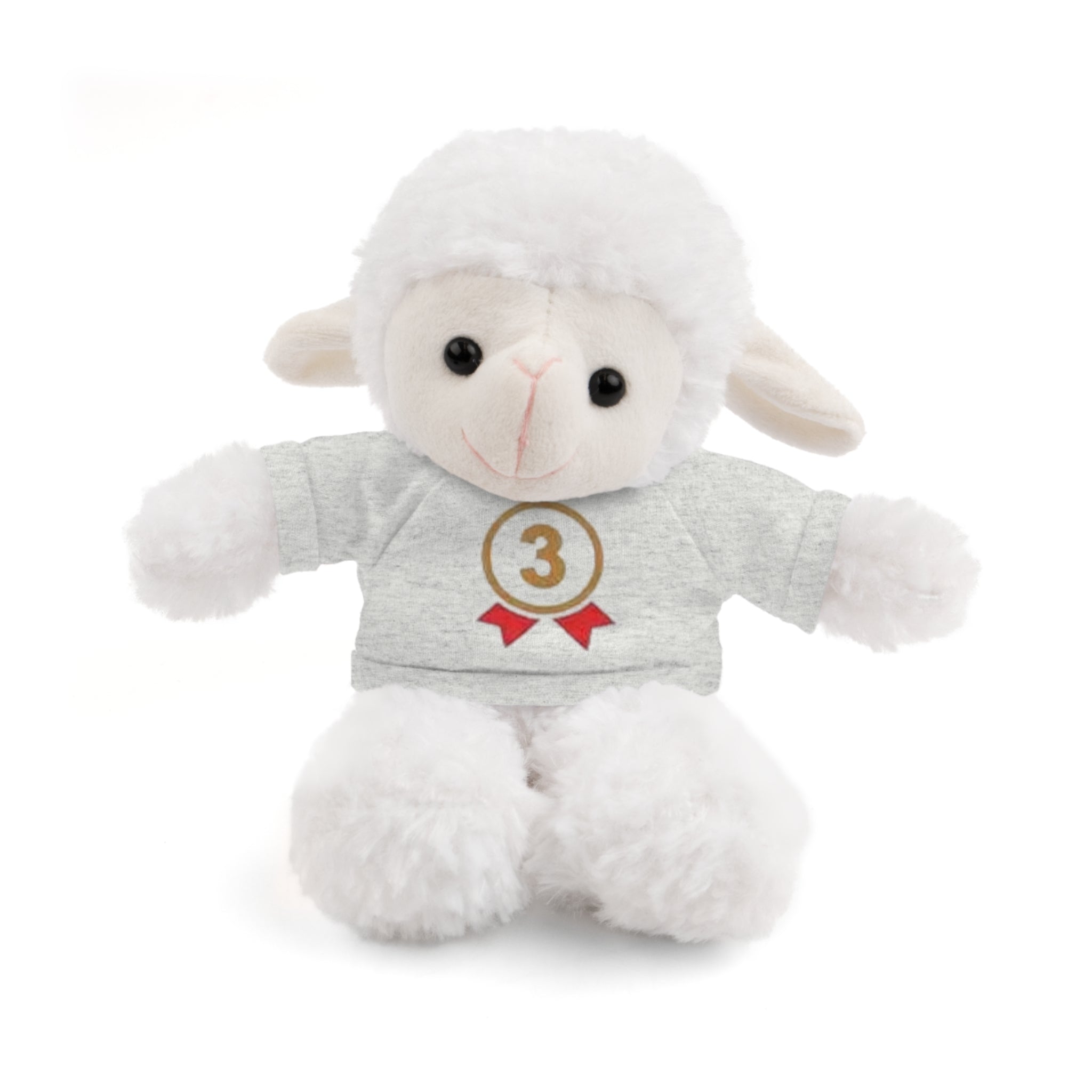 3rd Place Gymnastics Stuffed Animal with Gymnastics T-Shirt