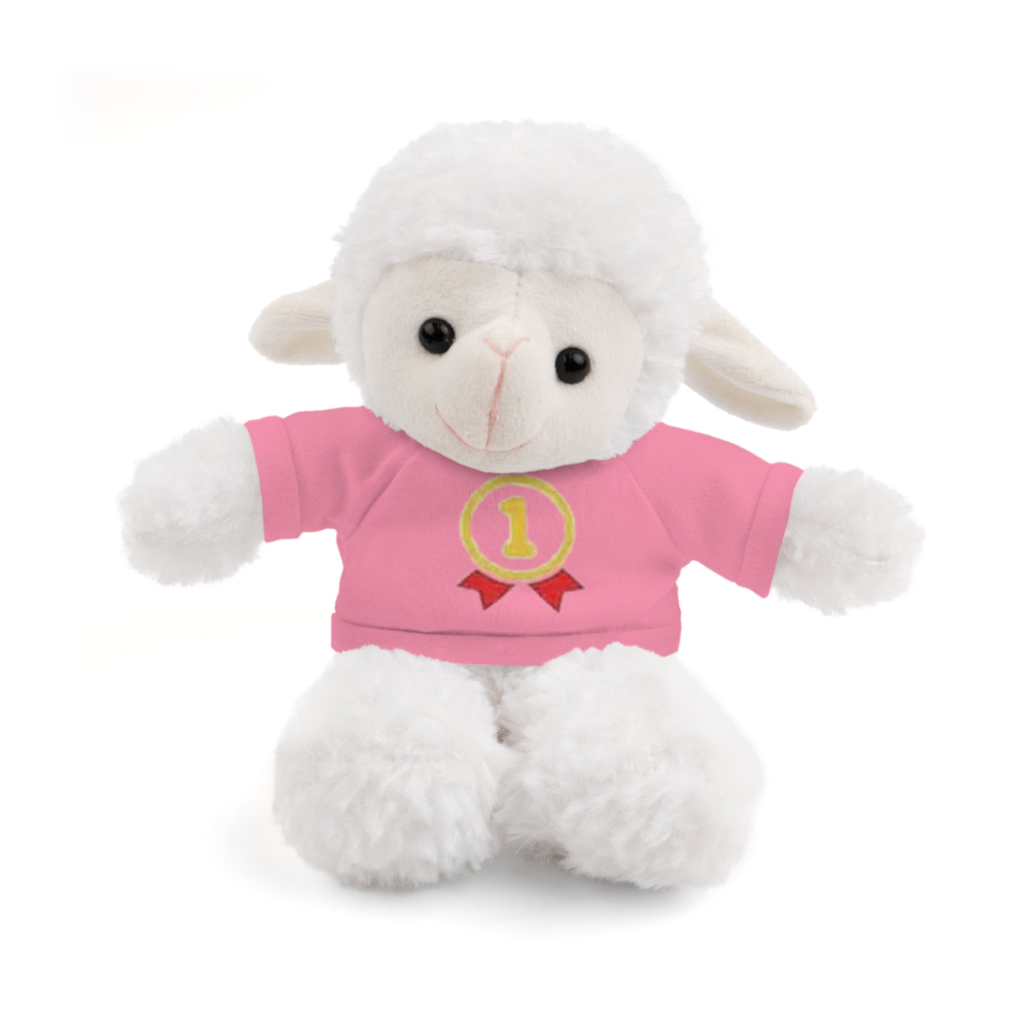 1st Place Gymnastics Stuffed Animal with Gymnastics T-Shirt