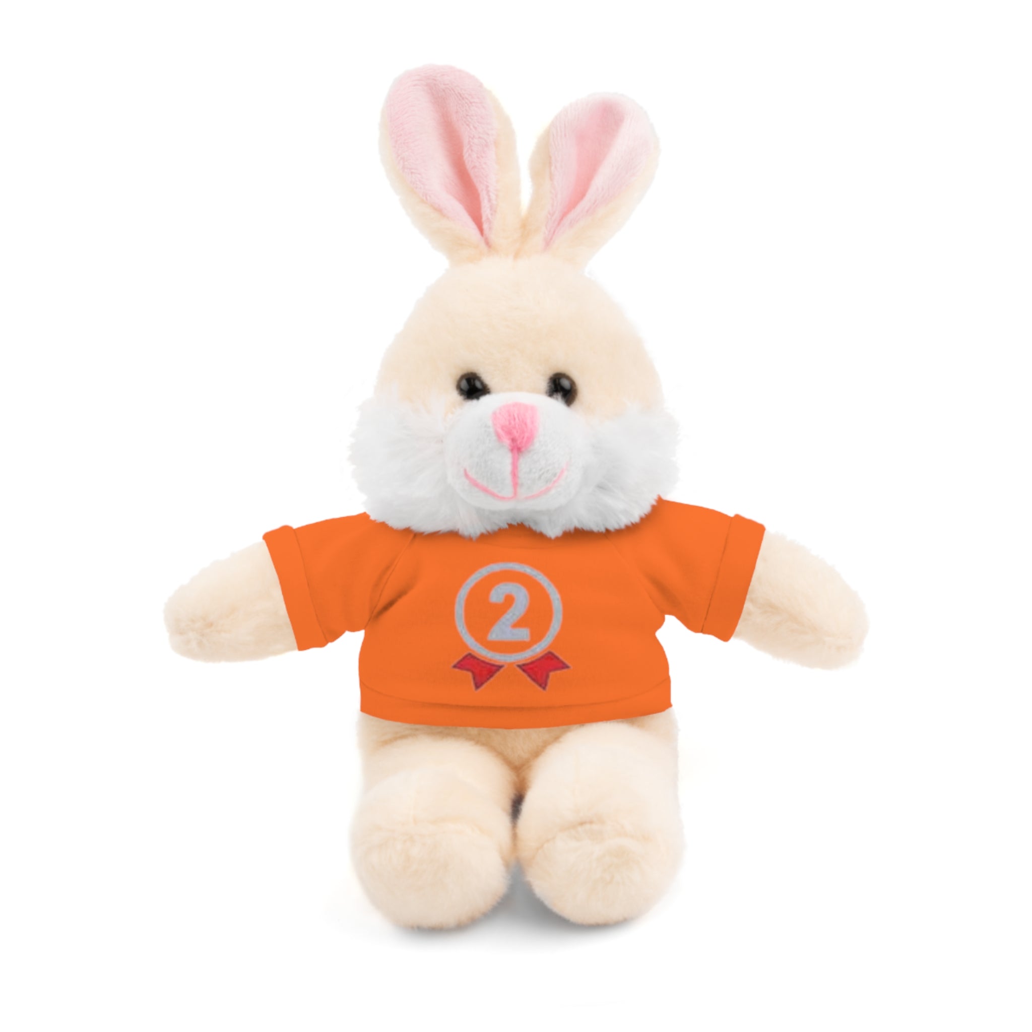 2nd Place Gymnastics Stuffed Animal with Gymnastics T-Shirt