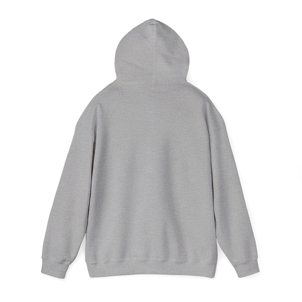 Behind every strong gymnast is a coach who believed first - Gymnast Coach Hoodie (Adults)