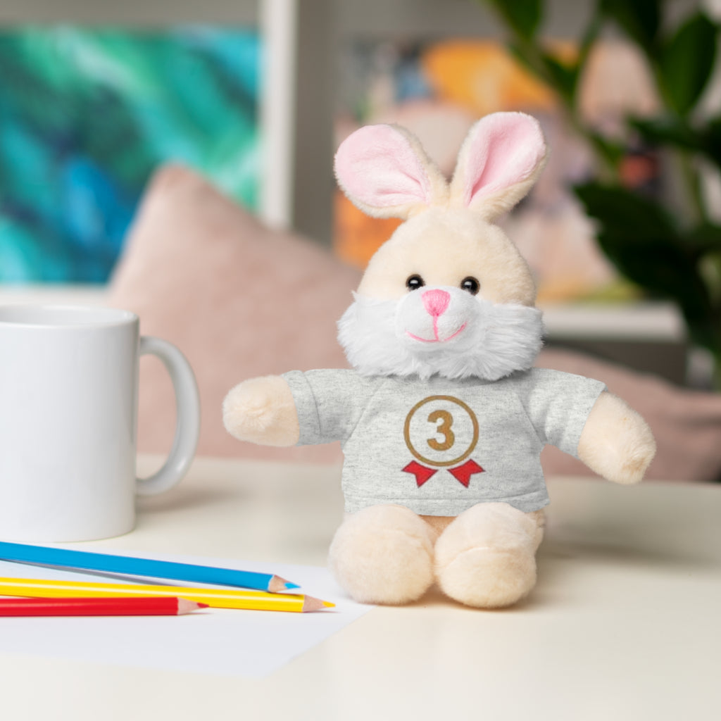 3rd Place Gymnastics Stuffed Animal with Gymnastics T-Shirt