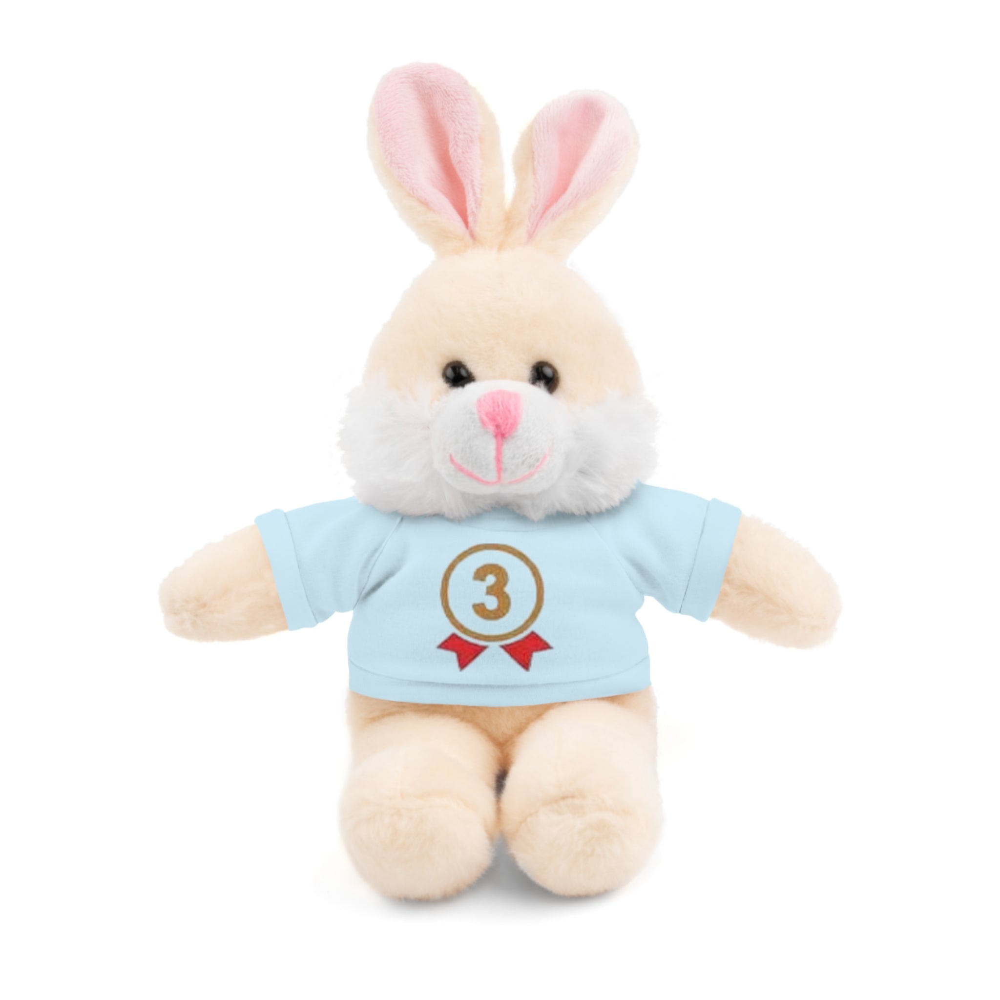 3rd Place Gymnastics Stuffed Animal with Gymnastics T-Shirt