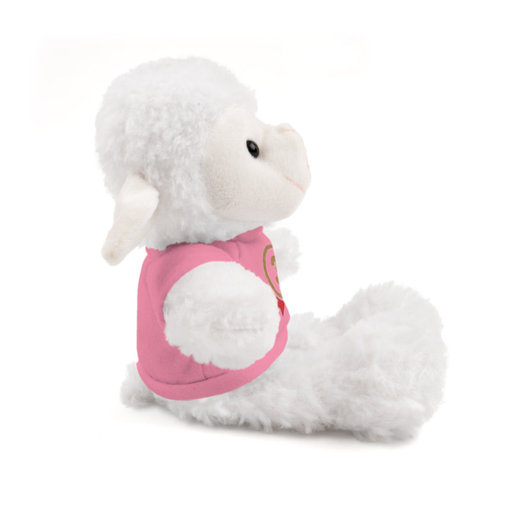 3rd Place Gymnastics Stuffed Animal with Gymnastics T-Shirt
