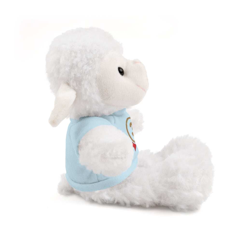 3rd Place Gymnastics Stuffed Animal with Gymnastics T-Shirt