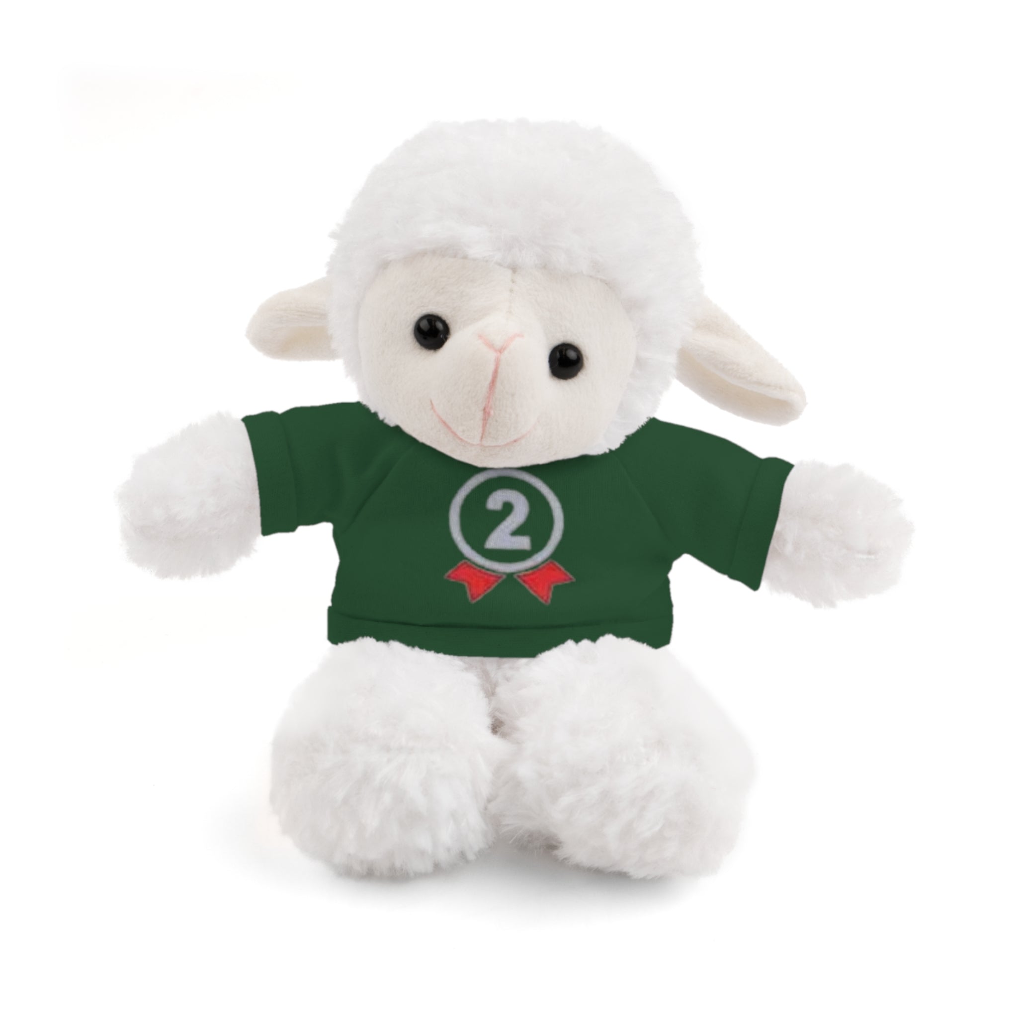 2nd Place Gymnastics Stuffed Animal with Gymnastics T-Shirt