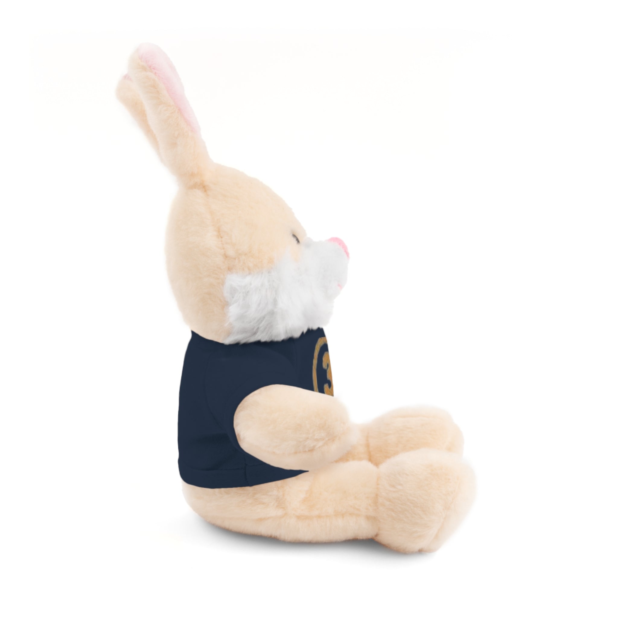 3rd Place Gymnastics Stuffed Animal with Gymnastics T-Shirt