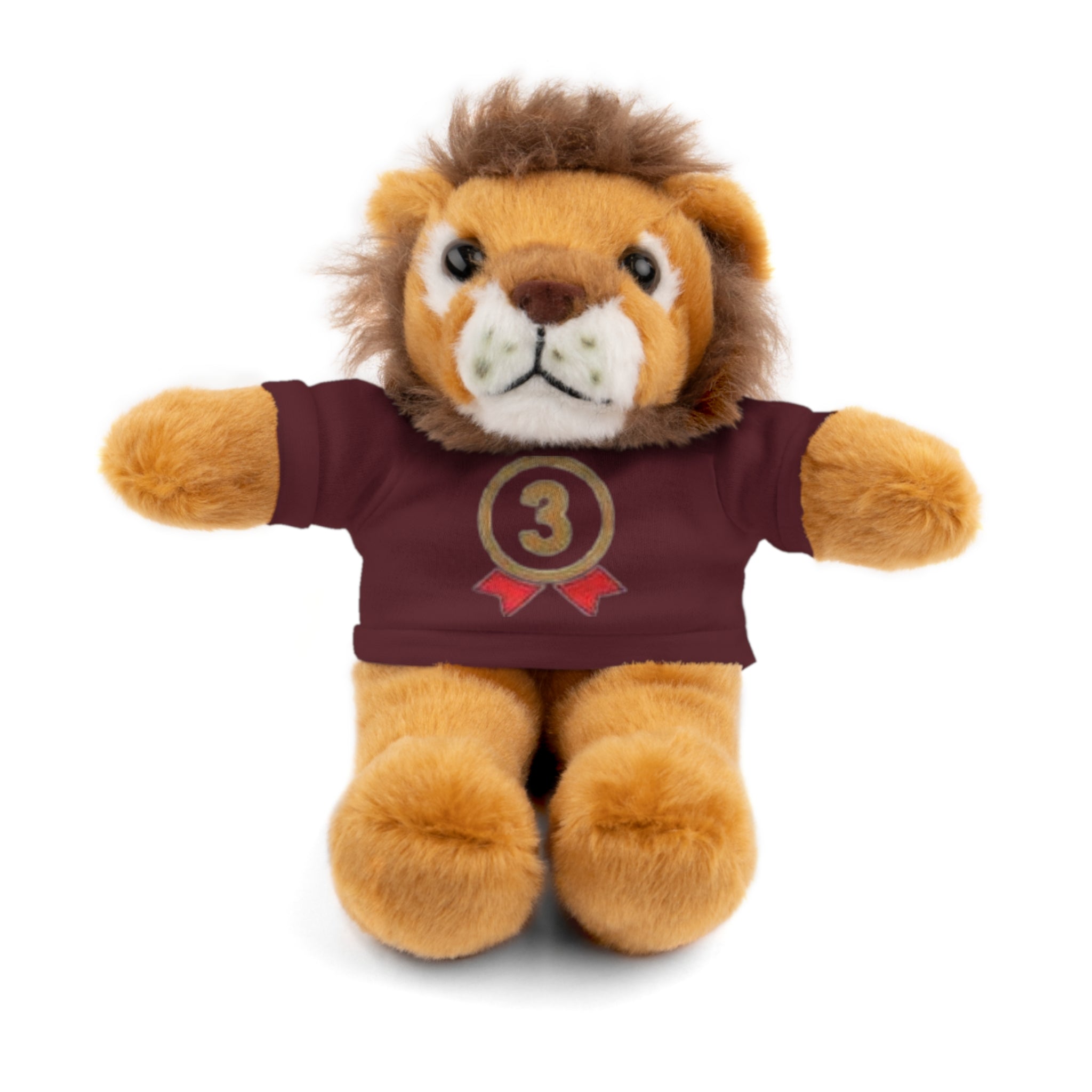 3rd Place Gymnastics Stuffed Animal with Gymnastics T-Shirt