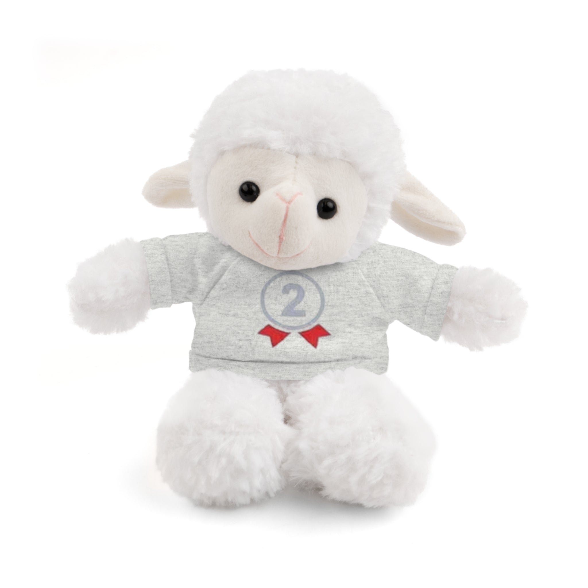 2nd Place Gymnastics Stuffed Animal with Gymnastics T-Shirt