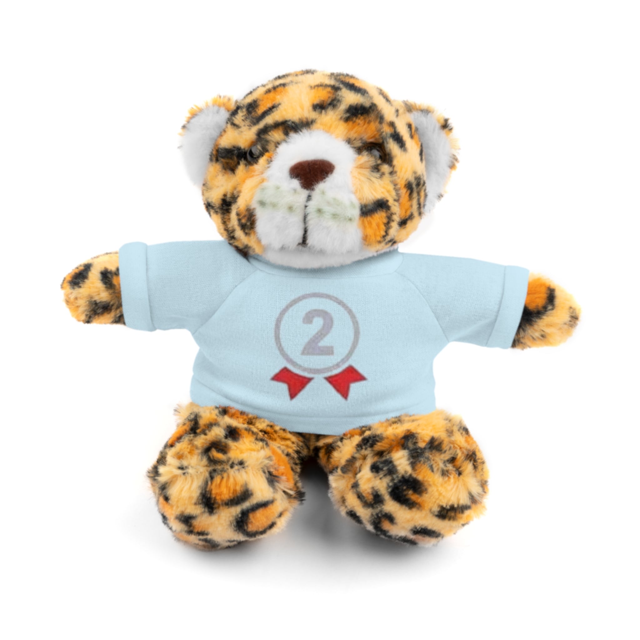 2nd Place Gymnastics Stuffed Animal with Gymnastics T-Shirt