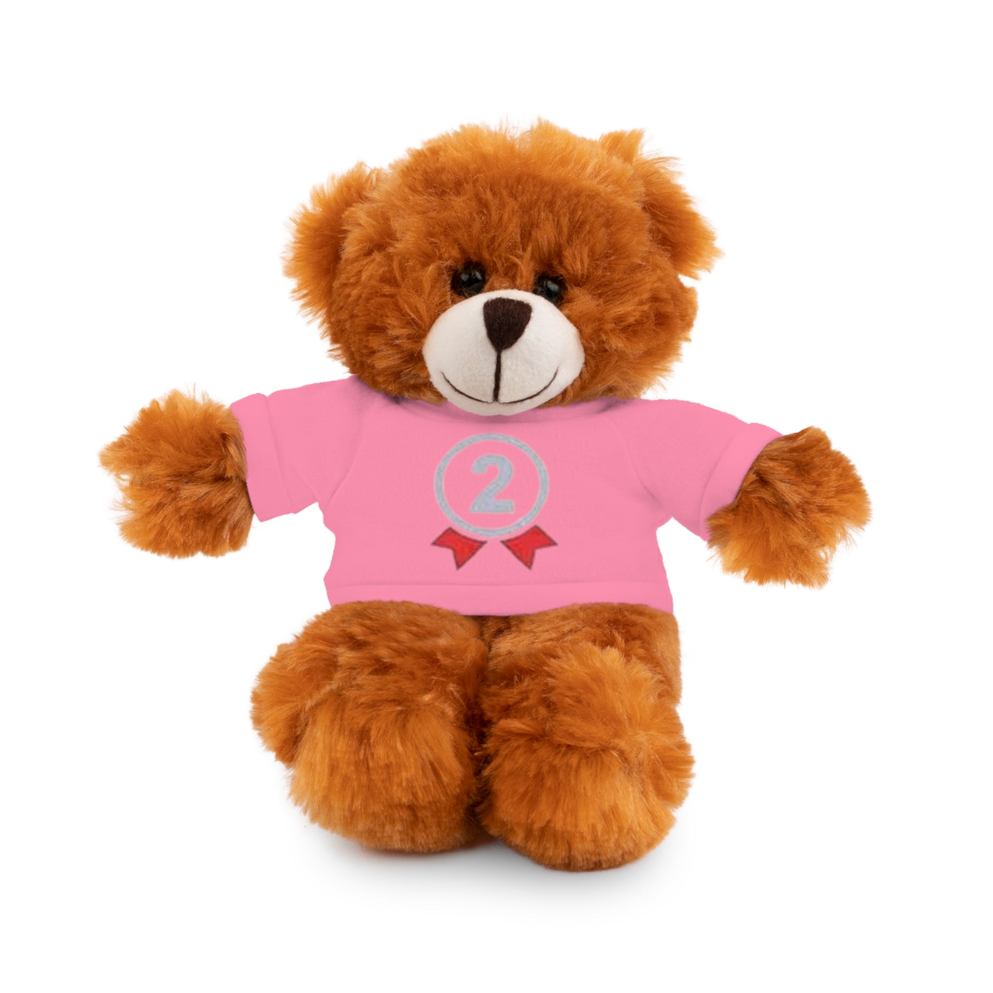 2nd Place Gymnastics Stuffed Animal with Gymnastics T-Shirt