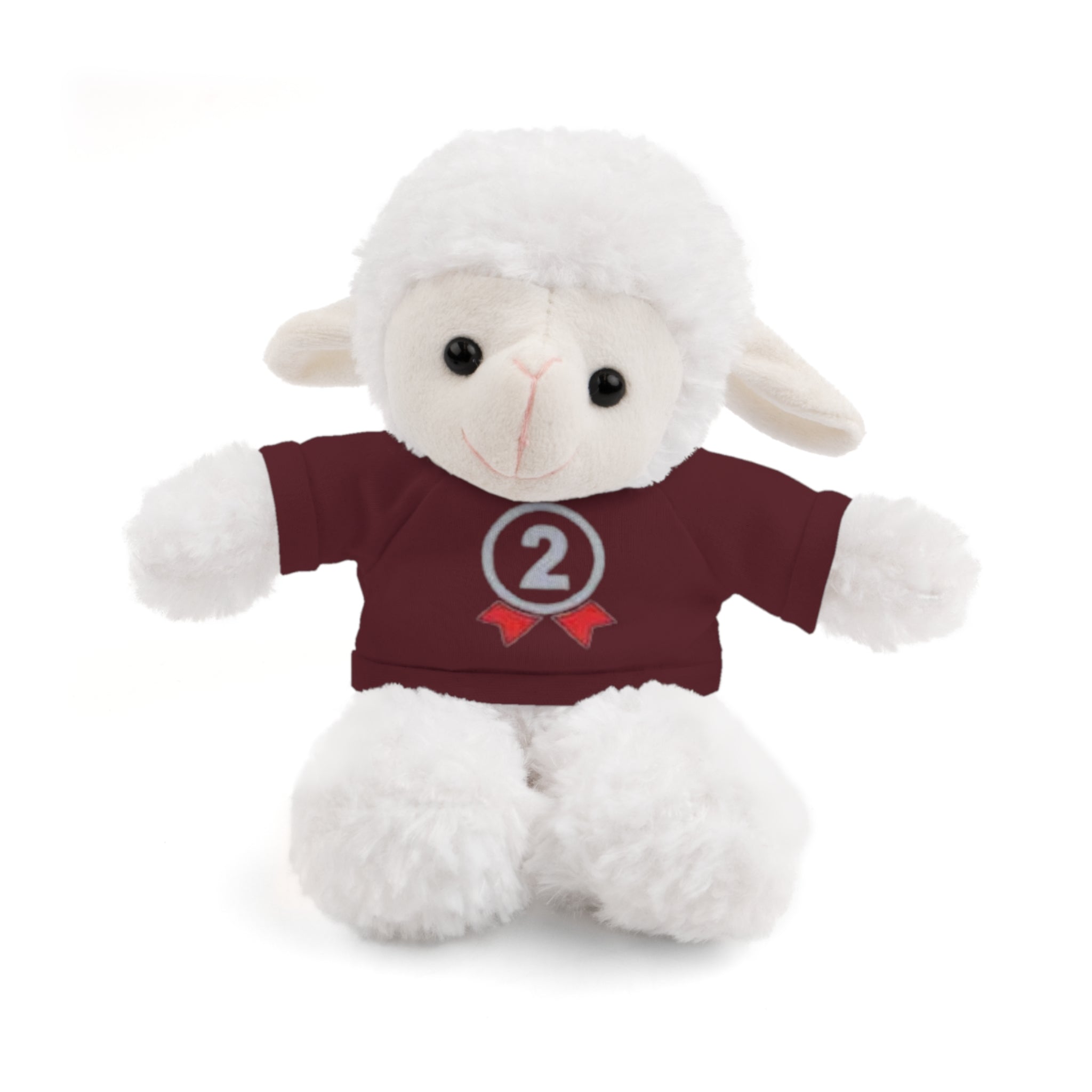 2nd Place Gymnastics Stuffed Animal with Gymnastics T-Shirt