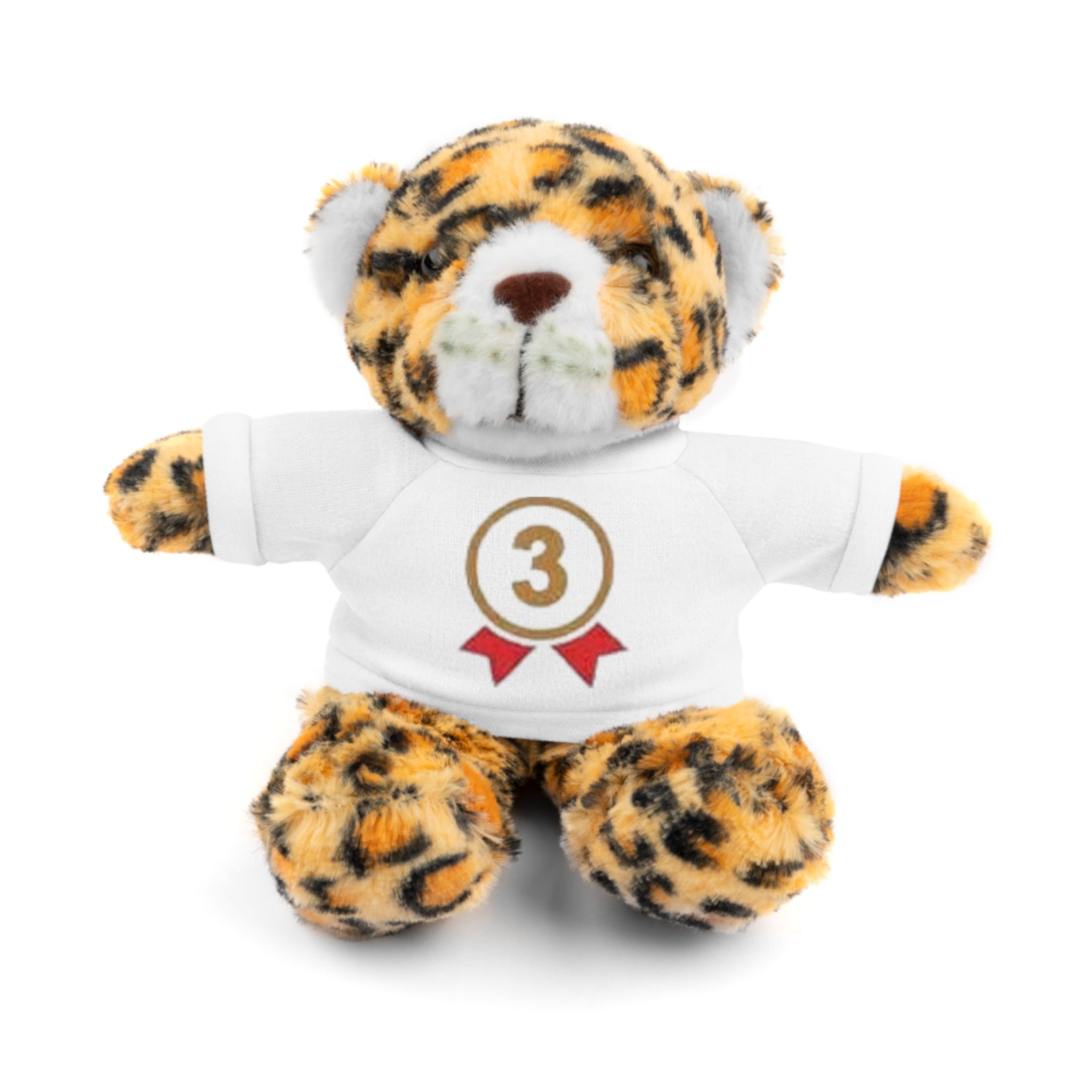 3rd Place Gymnastics Stuffed Animal with Gymnastics T-Shirt