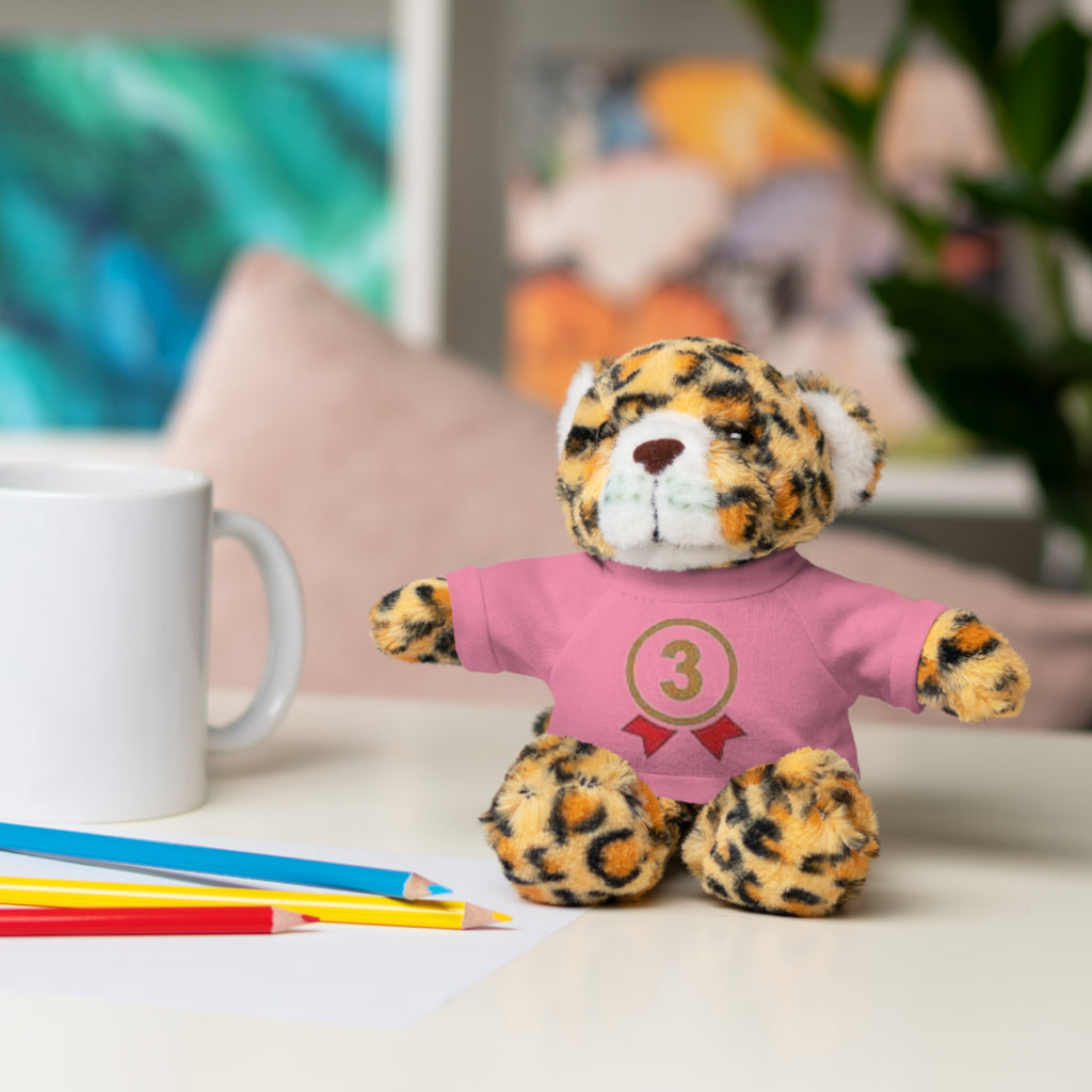3rd Place Gymnastics Stuffed Animal with Gymnastics T-Shirt