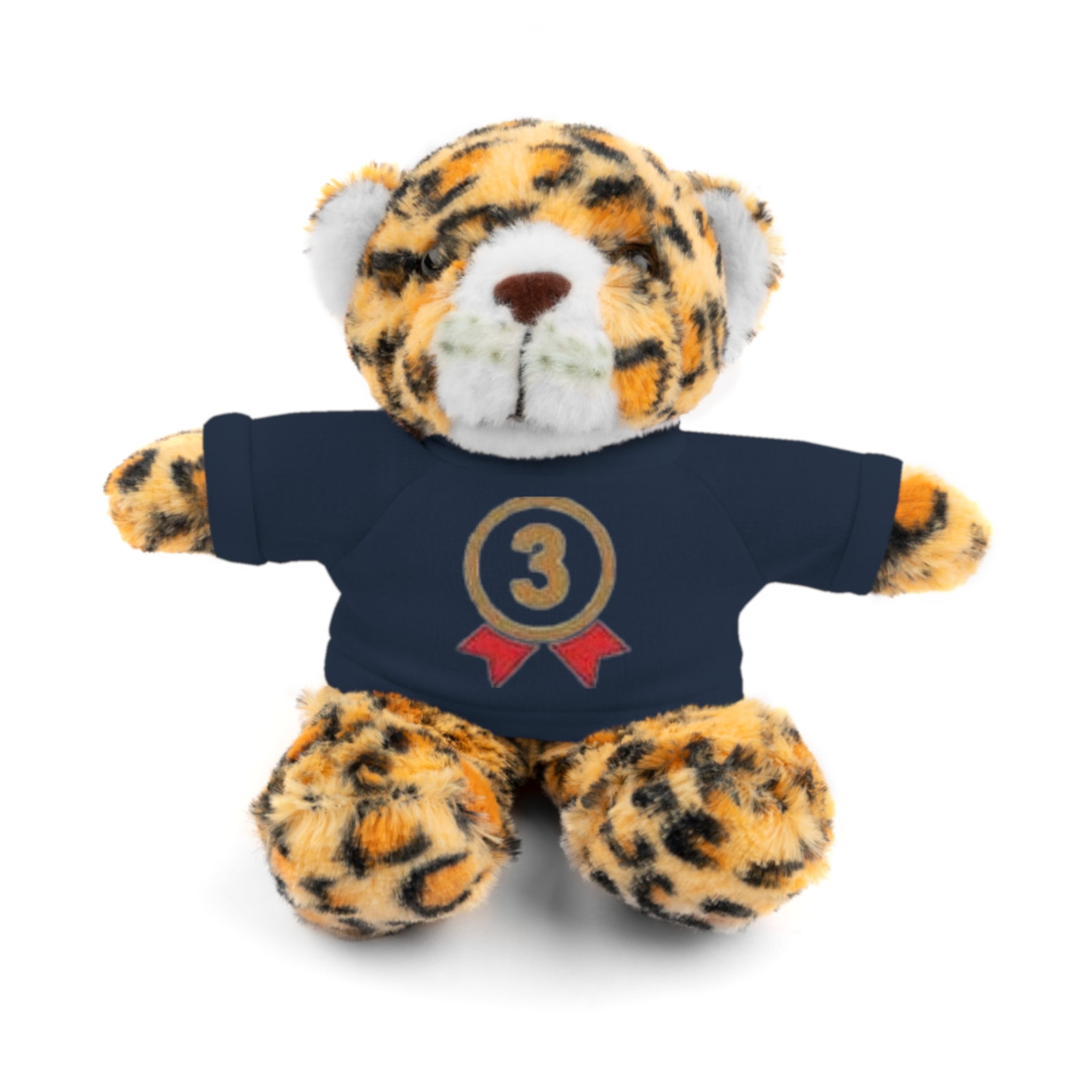 3rd Place Gymnastics Stuffed Animal with Gymnastics T-Shirt