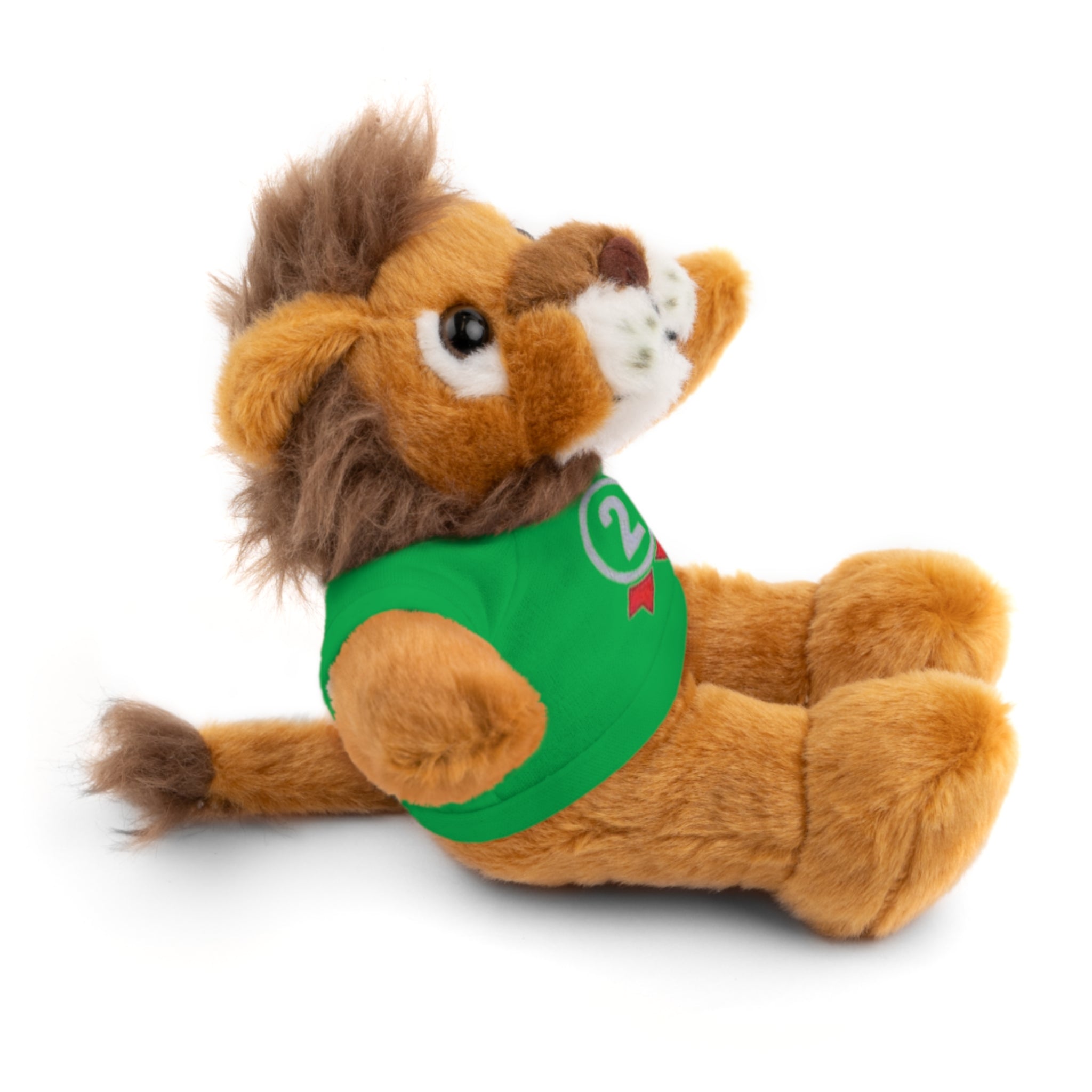 2nd Place Gymnastics Stuffed Animal with Gymnastics T-Shirt