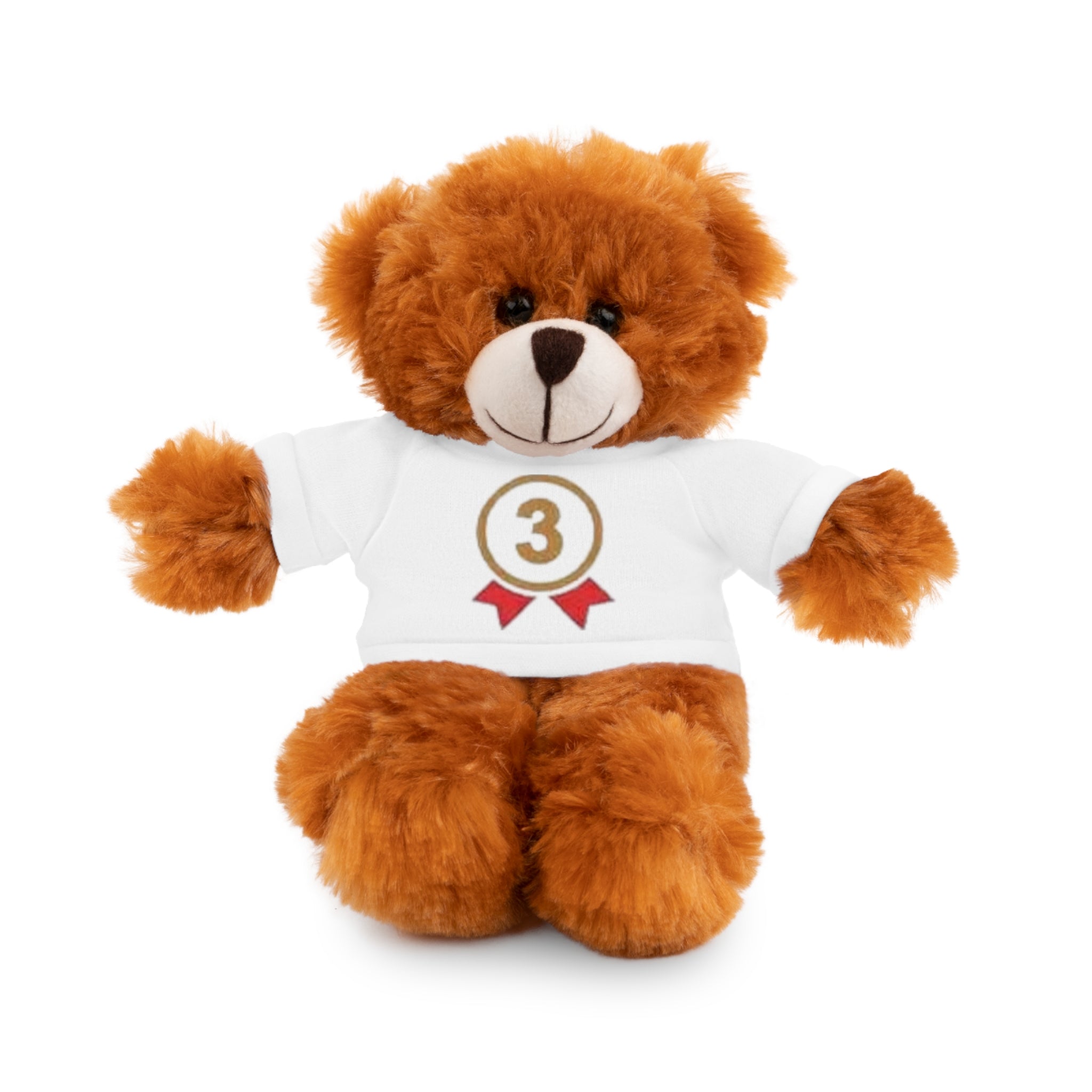 3rd Place Gymnastics Stuffed Animal with Gymnastics T-Shirt