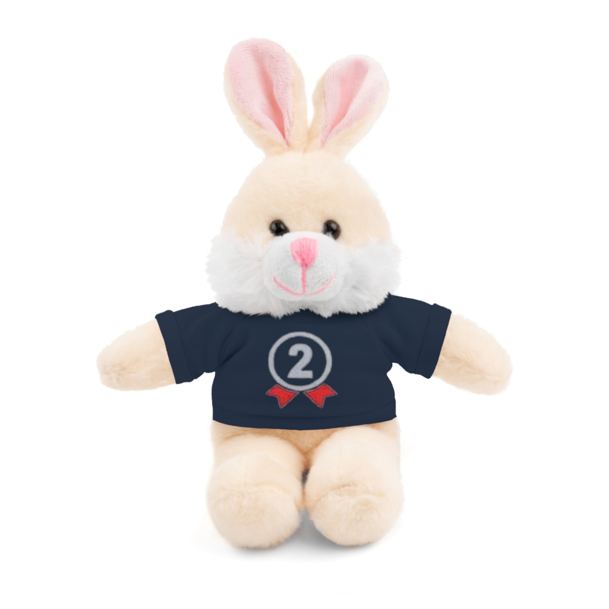 2nd Place Gymnastics Stuffed Animal with Gymnastics T-Shirt