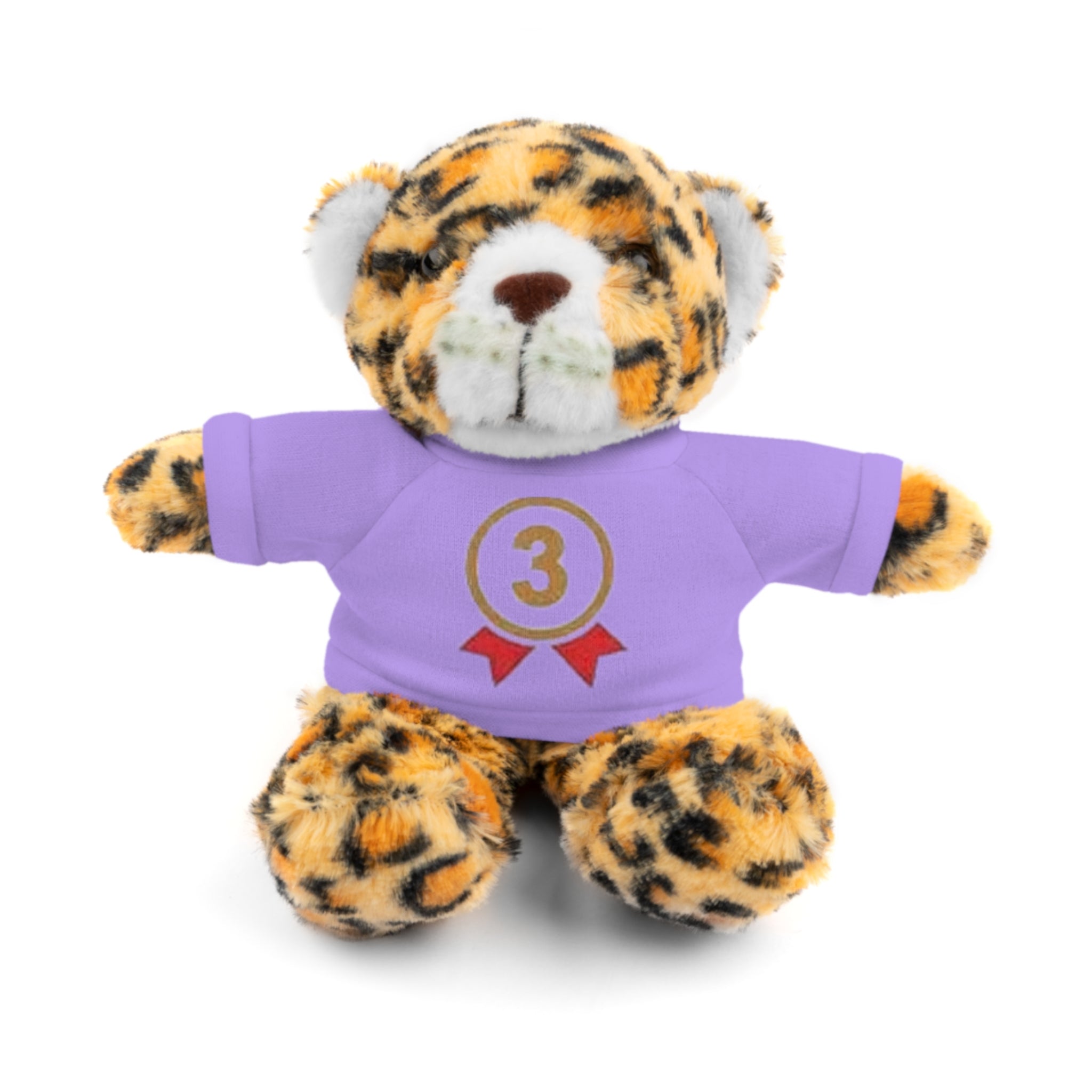3rd Place Gymnastics Stuffed Animal with Gymnastics T-Shirt