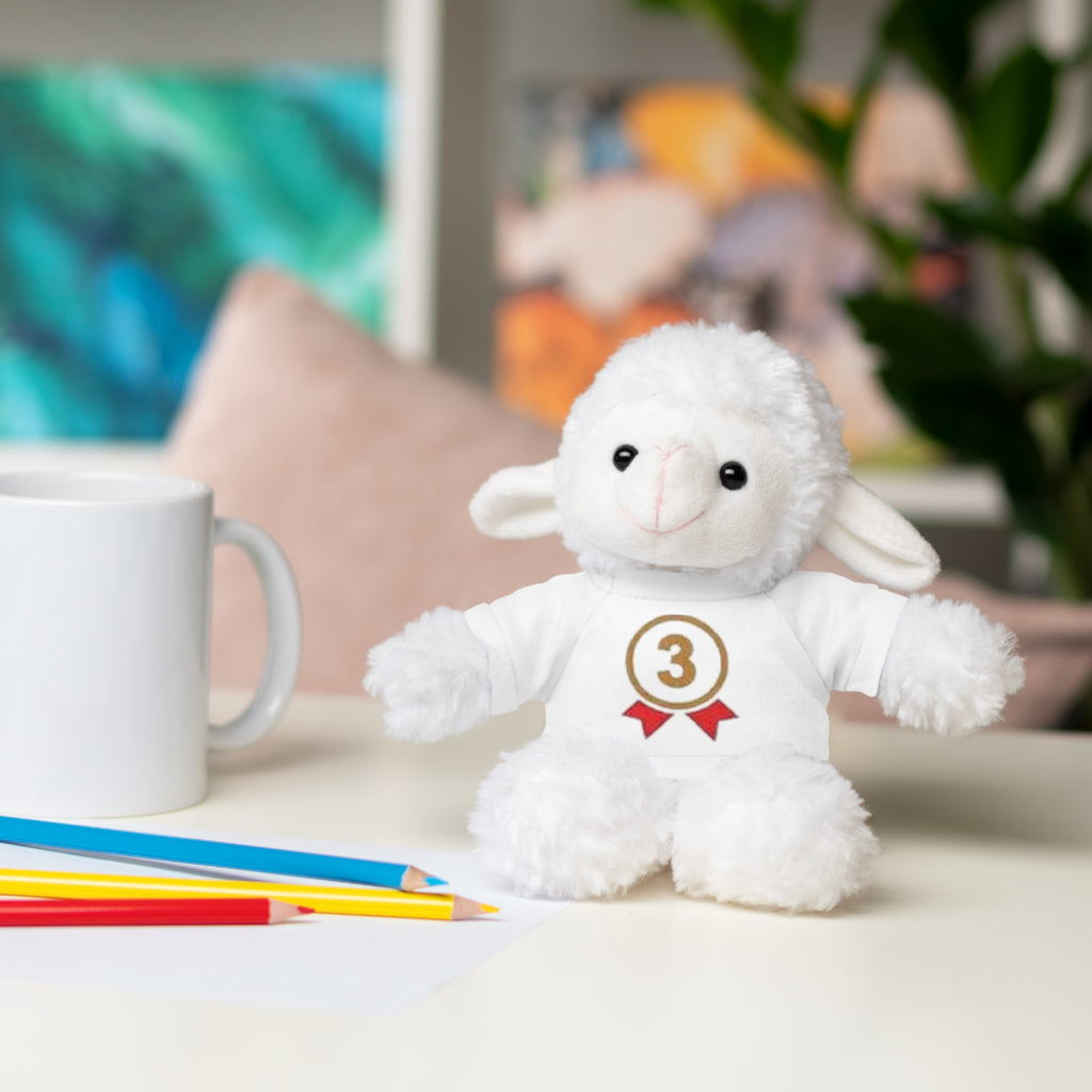 3rd Place Gymnastics Stuffed Animal with Gymnastics T-Shirt