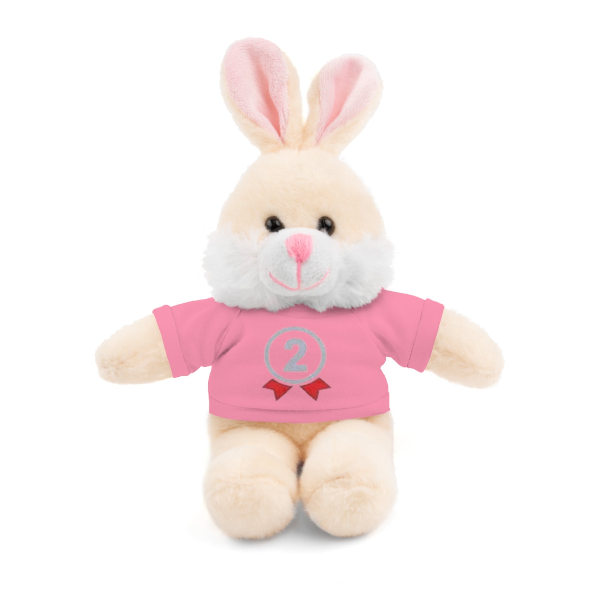 2nd Place Gymnastics Stuffed Animal with Gymnastics T-Shirt