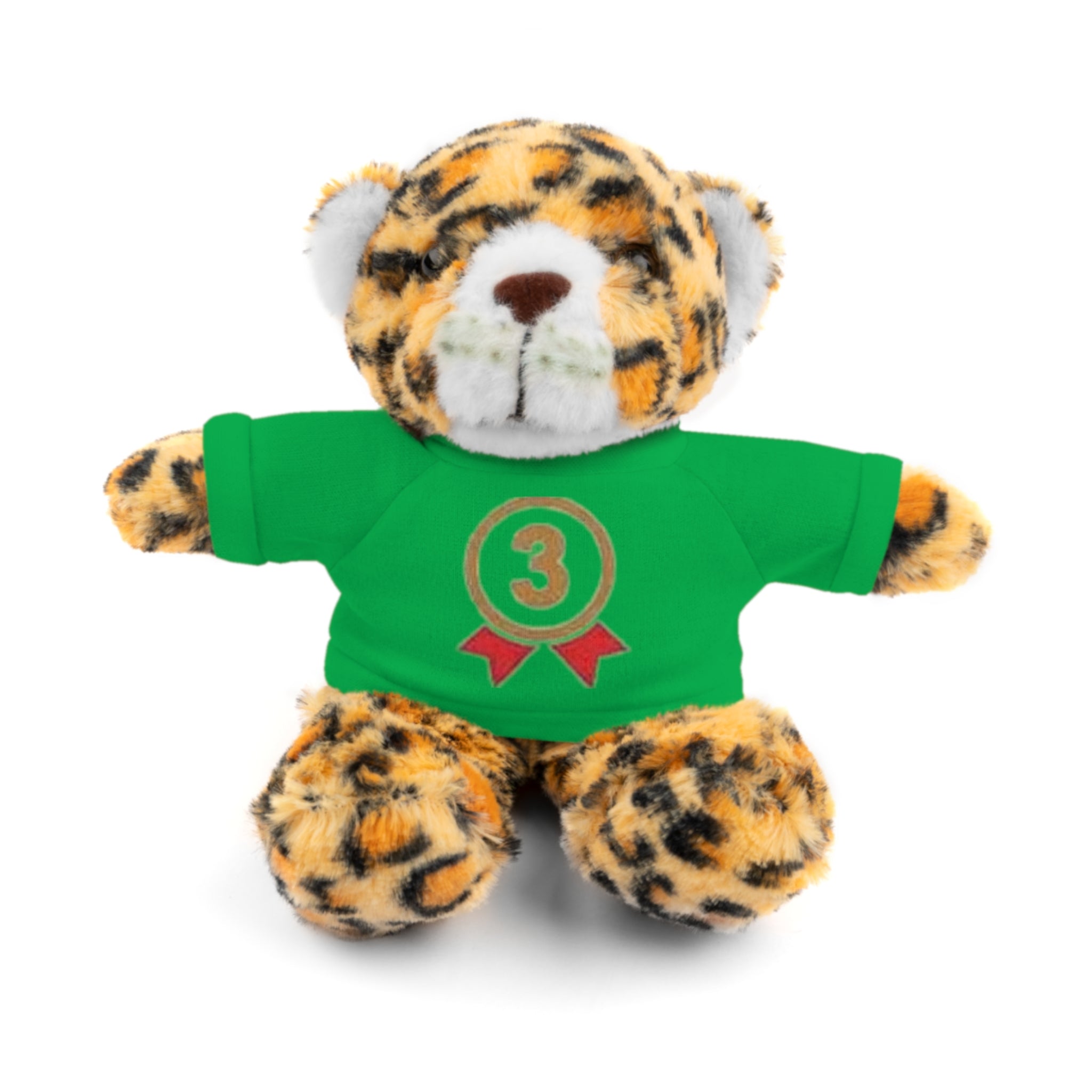 3rd Place Gymnastics Stuffed Animal with Gymnastics T-Shirt