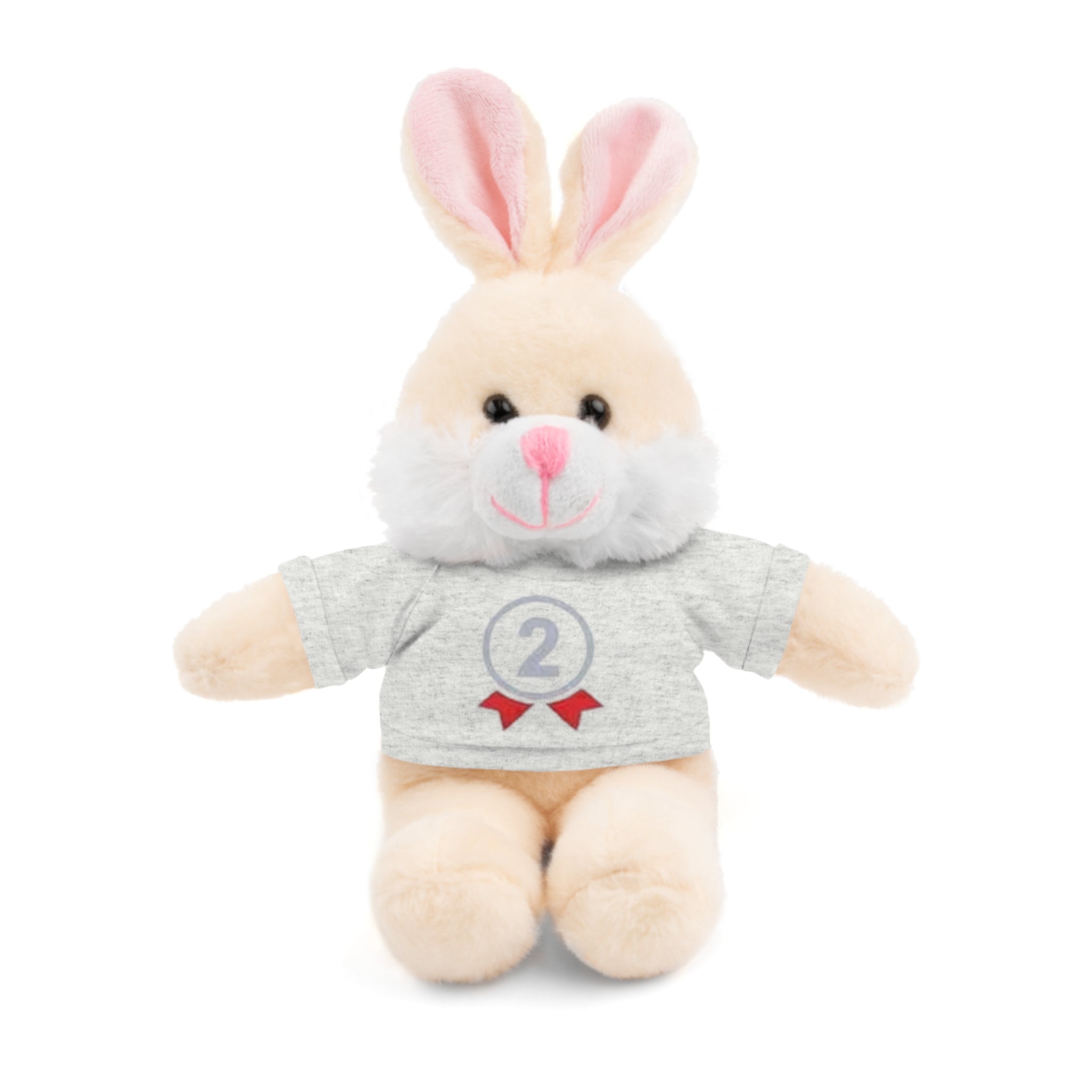2nd Place Gymnastics Stuffed Animal with Gymnastics T-Shirt