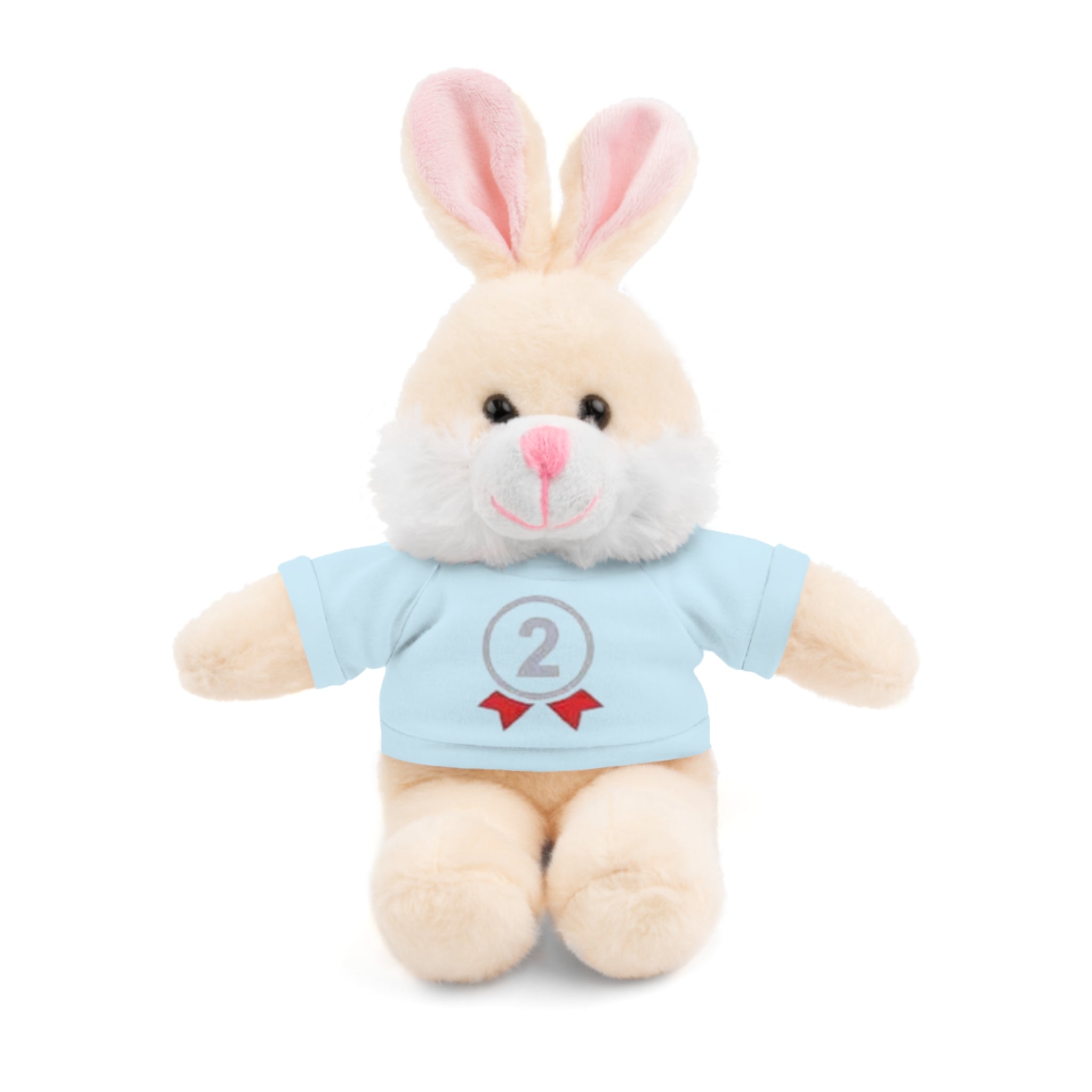 2nd Place Gymnastics Stuffed Animal with Gymnastics T-Shirt