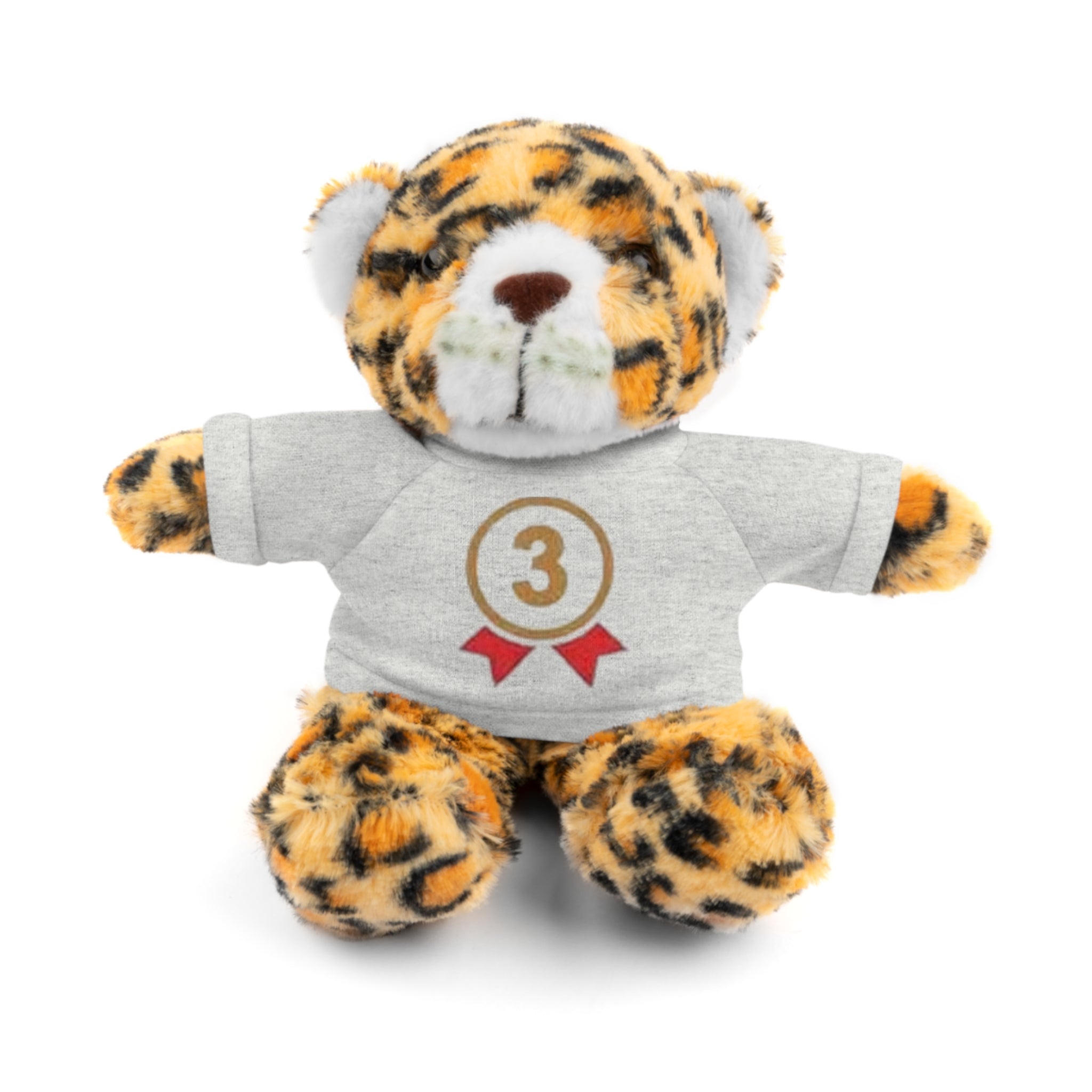 3rd Place Gymnastics Stuffed Animal with Gymnastics T-Shirt