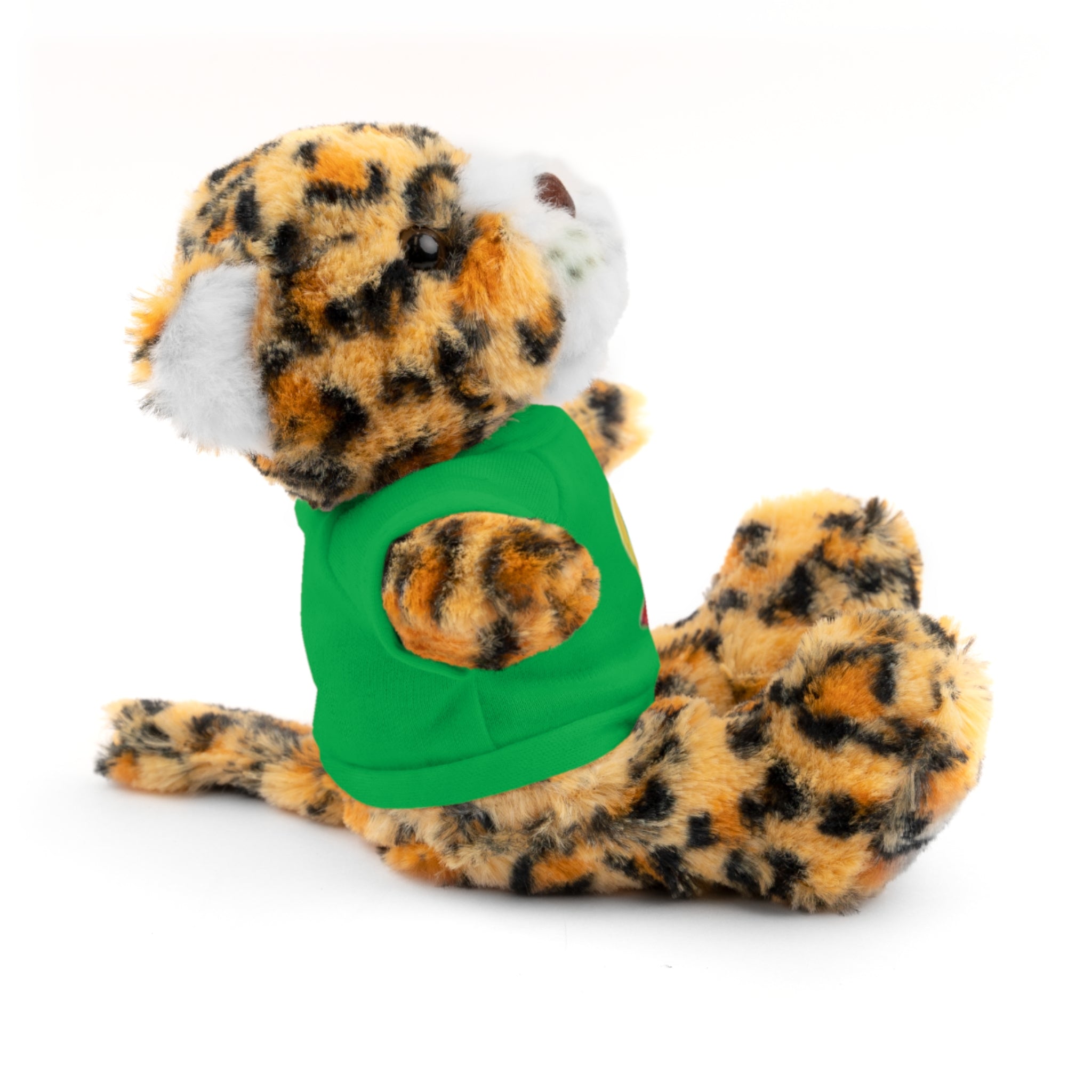 1st Place Gymnastics Stuffed Animal with Gymnastics T-Shirt