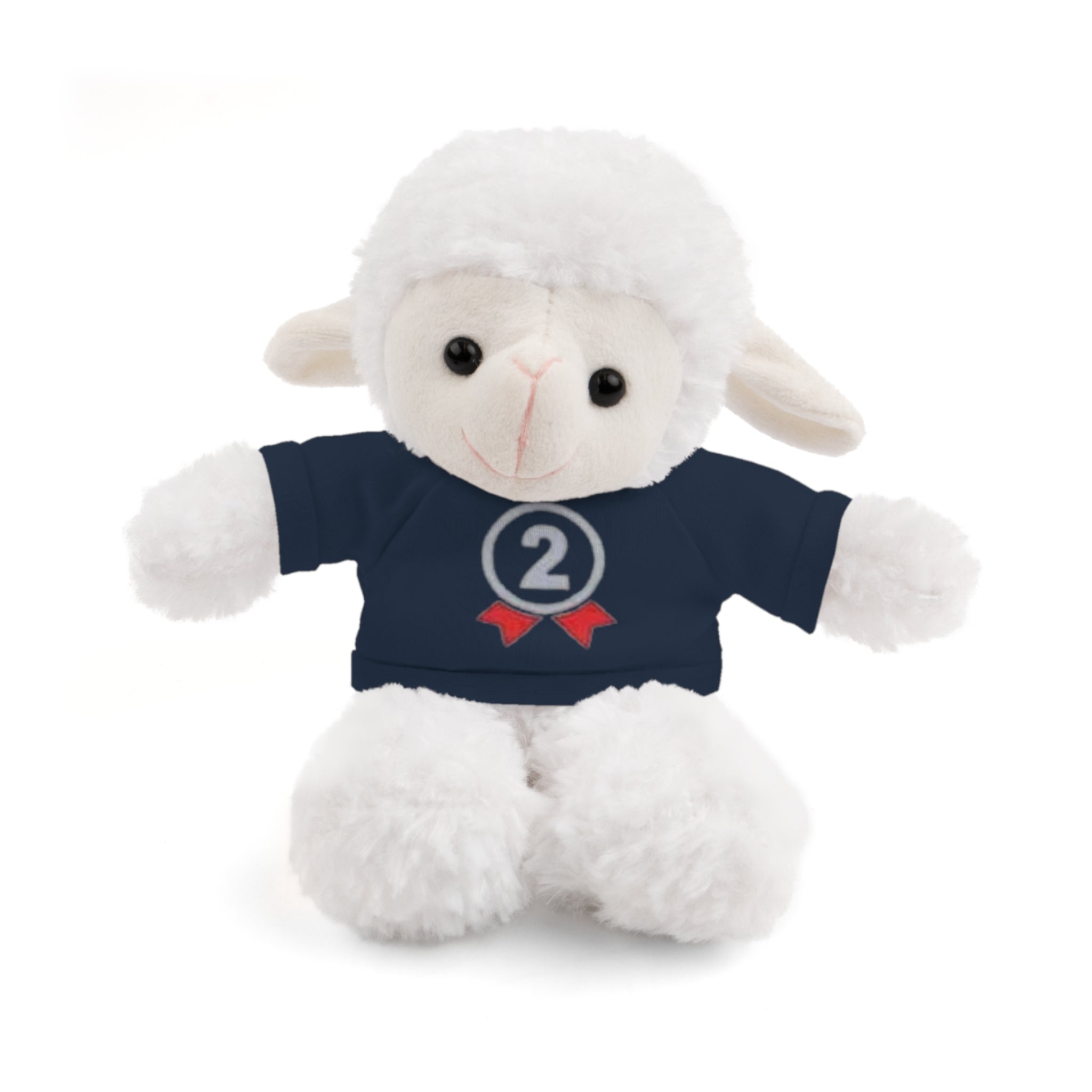 2nd Place Gymnastics Stuffed Animal with Gymnastics T-Shirt