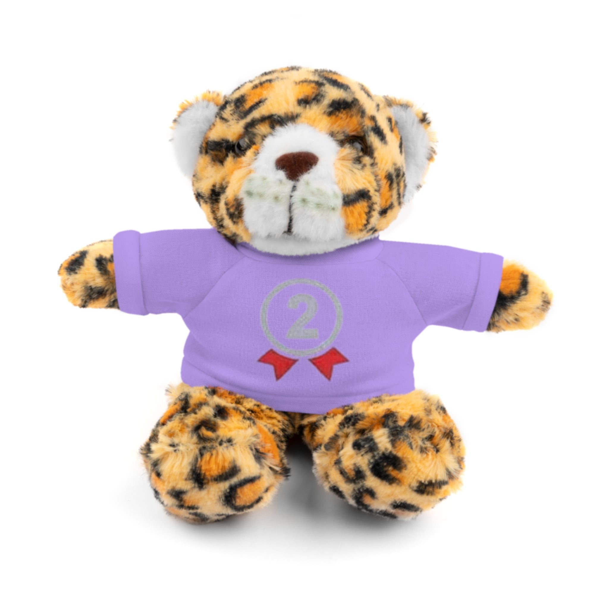 2nd Place Gymnastics Stuffed Animal with Gymnastics T-Shirt