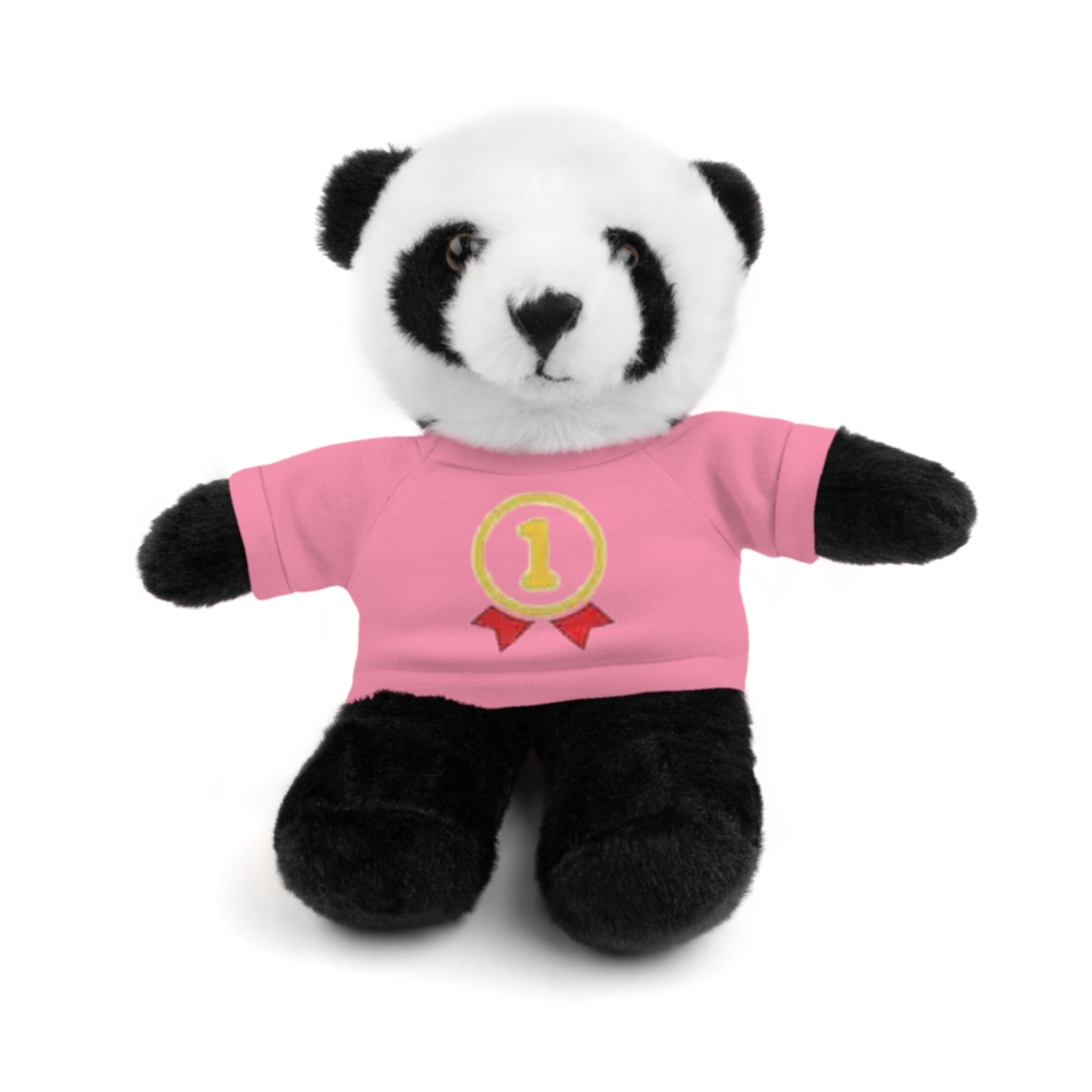 1st Place Gymnastics Stuffed Animal with Gymnastics T-Shirt