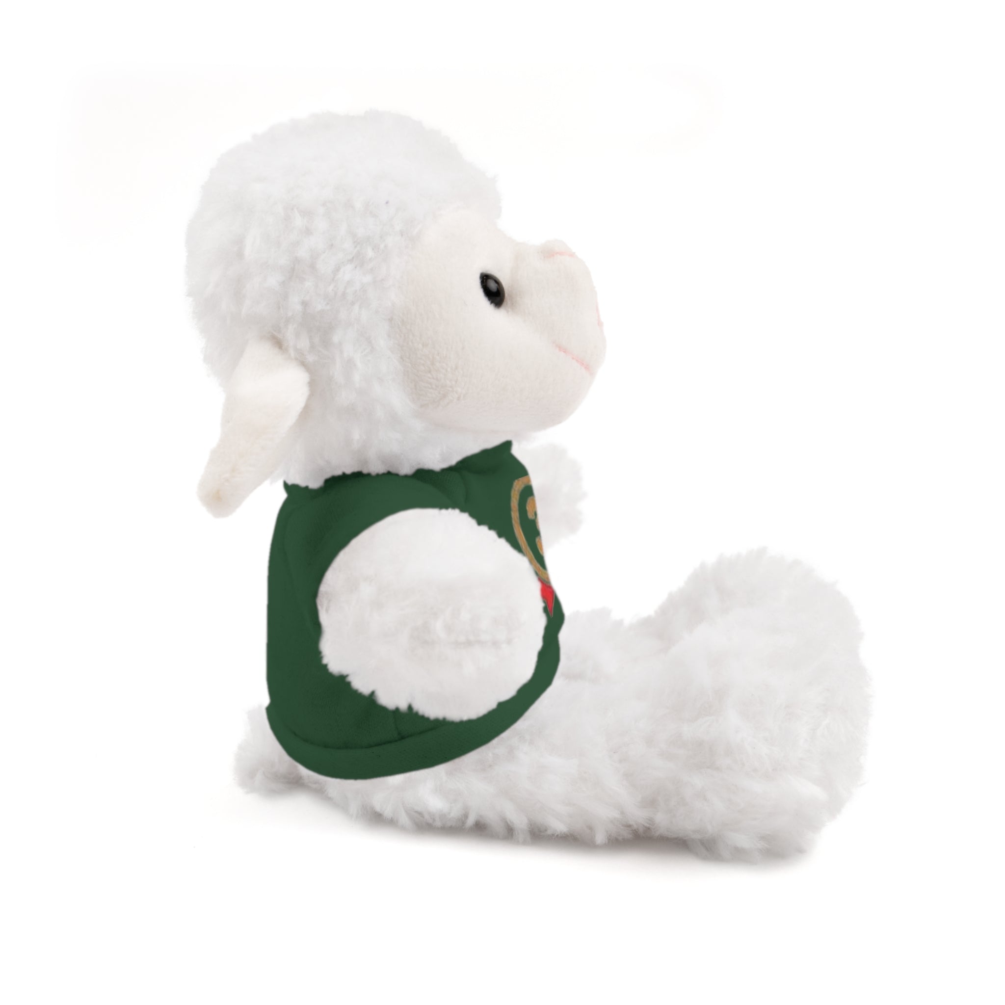 3rd Place Gymnastics Stuffed Animal with Gymnastics T-Shirt