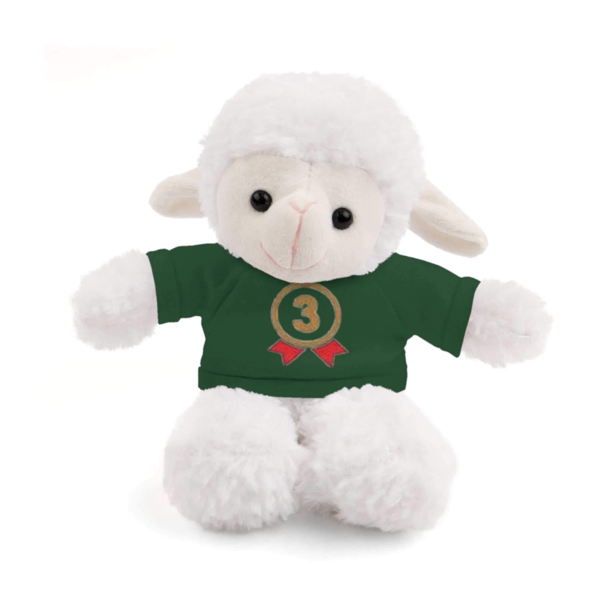 3rd Place Gymnastics Stuffed Animal with Gymnastics T-Shirt