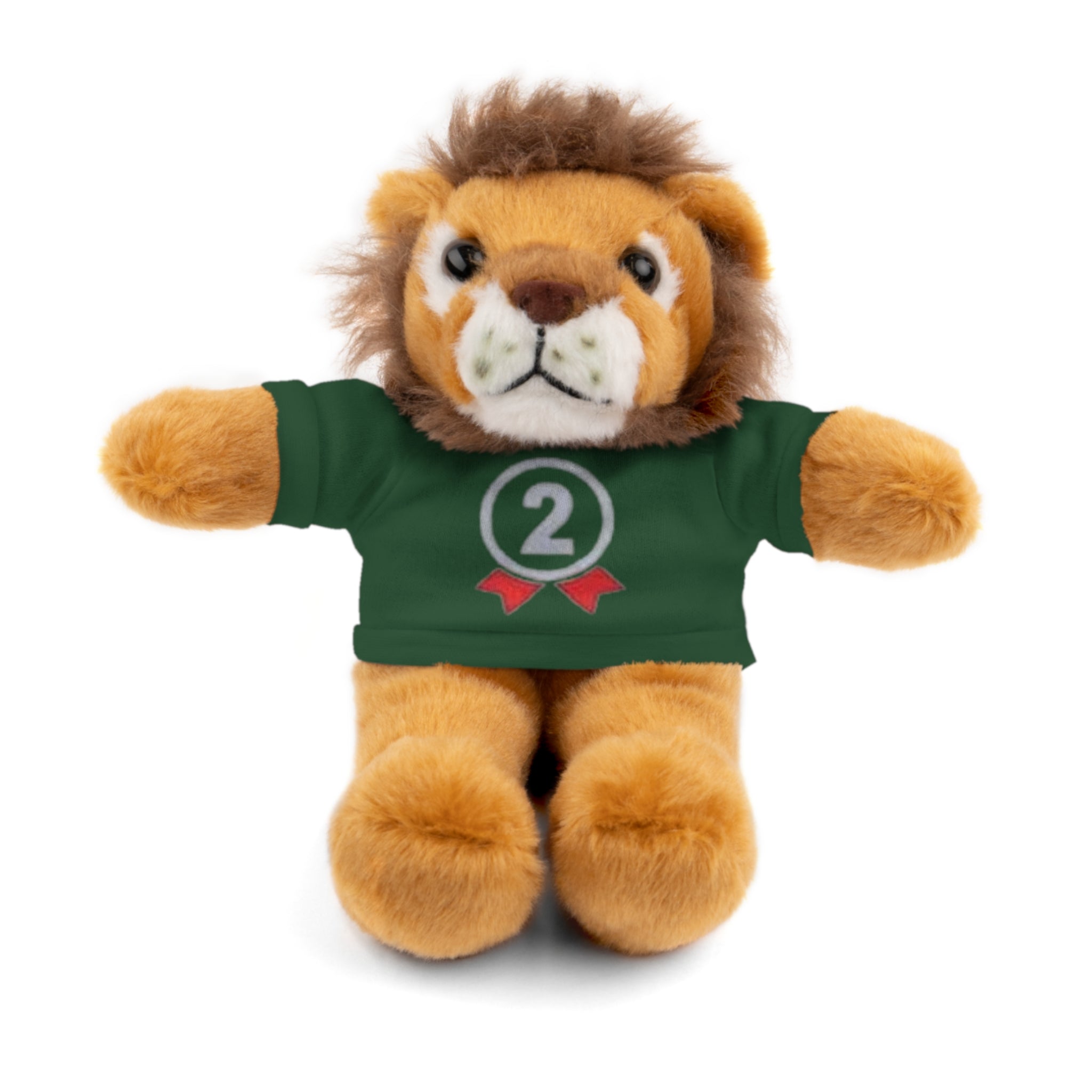 2nd Place Gymnastics Stuffed Animal with Gymnastics T-Shirt