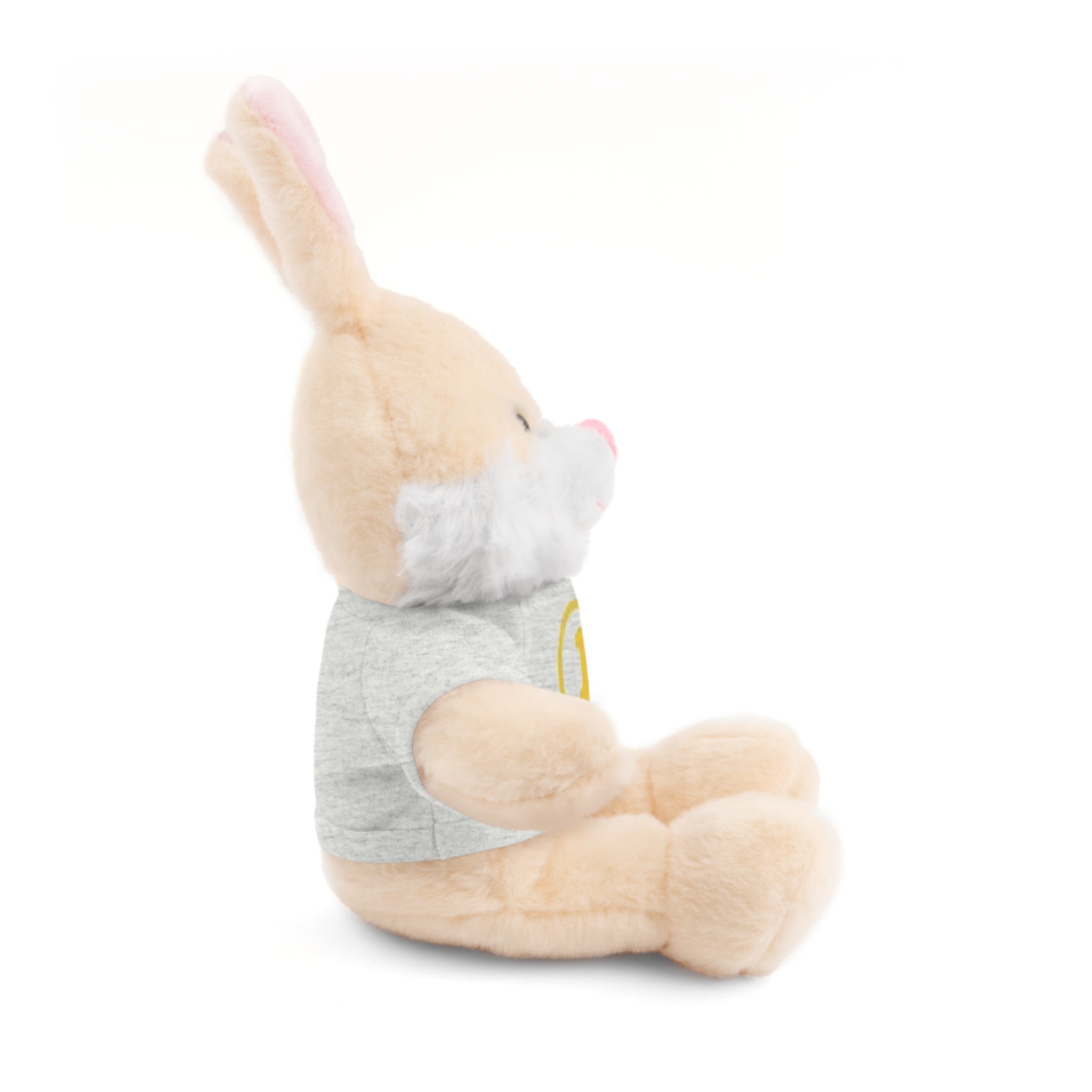 1st Place Gymnastics Stuffed Animal with Gymnastics T-Shirt