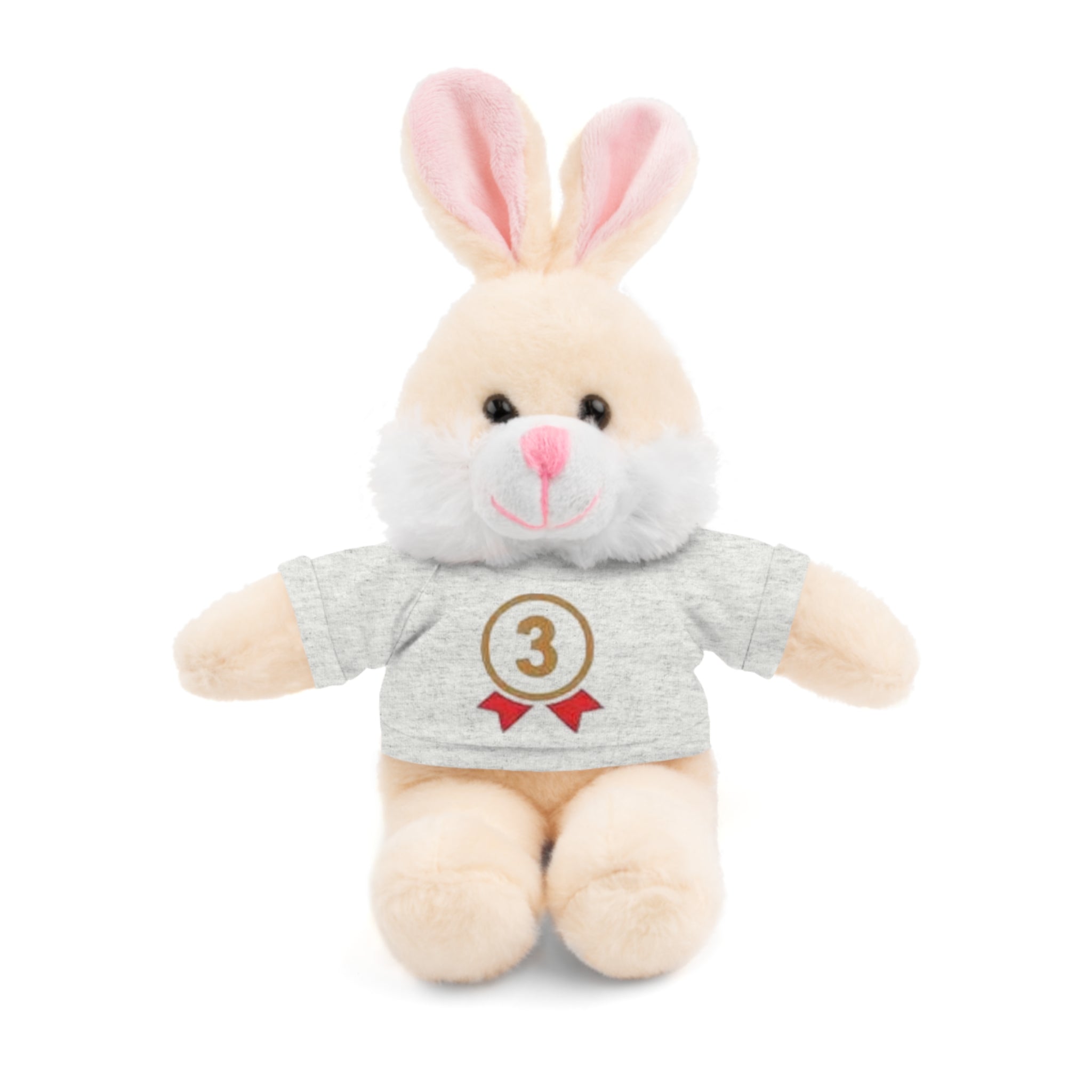 3rd Place Gymnastics Stuffed Animal with Gymnastics T-Shirt