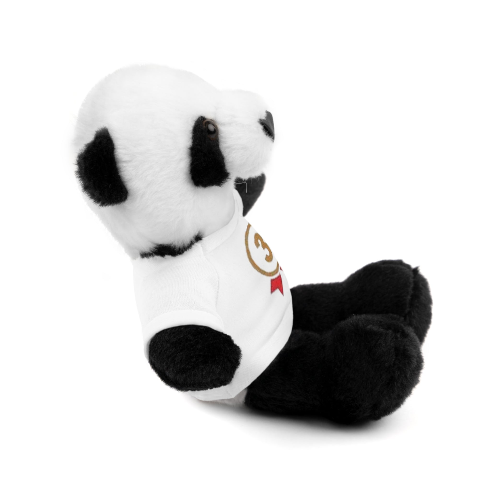 3rd Place Gymnastics Stuffed Animal with Gymnastics T-Shirt