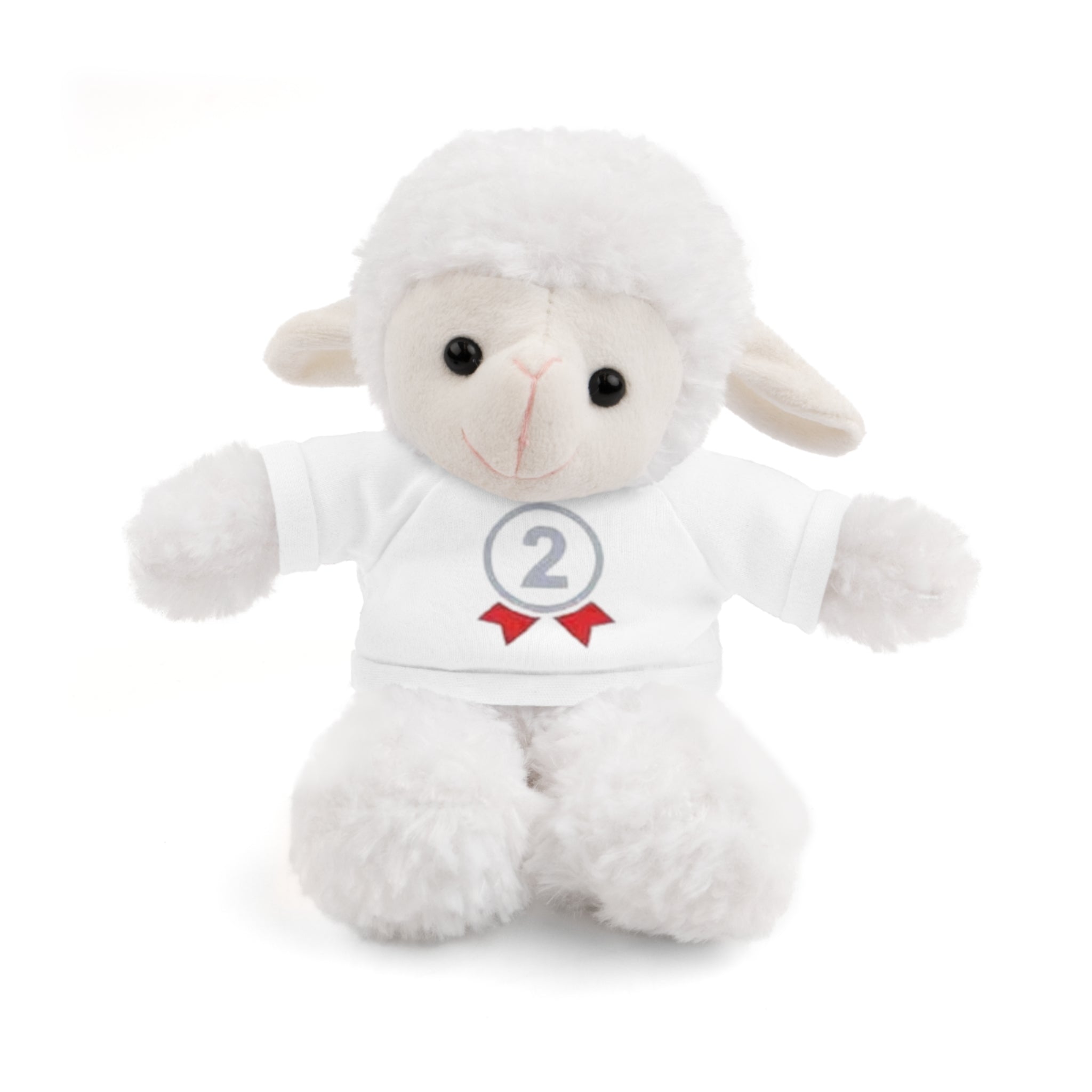 2nd Place Gymnastics Stuffed Animal with Gymnastics T-Shirt