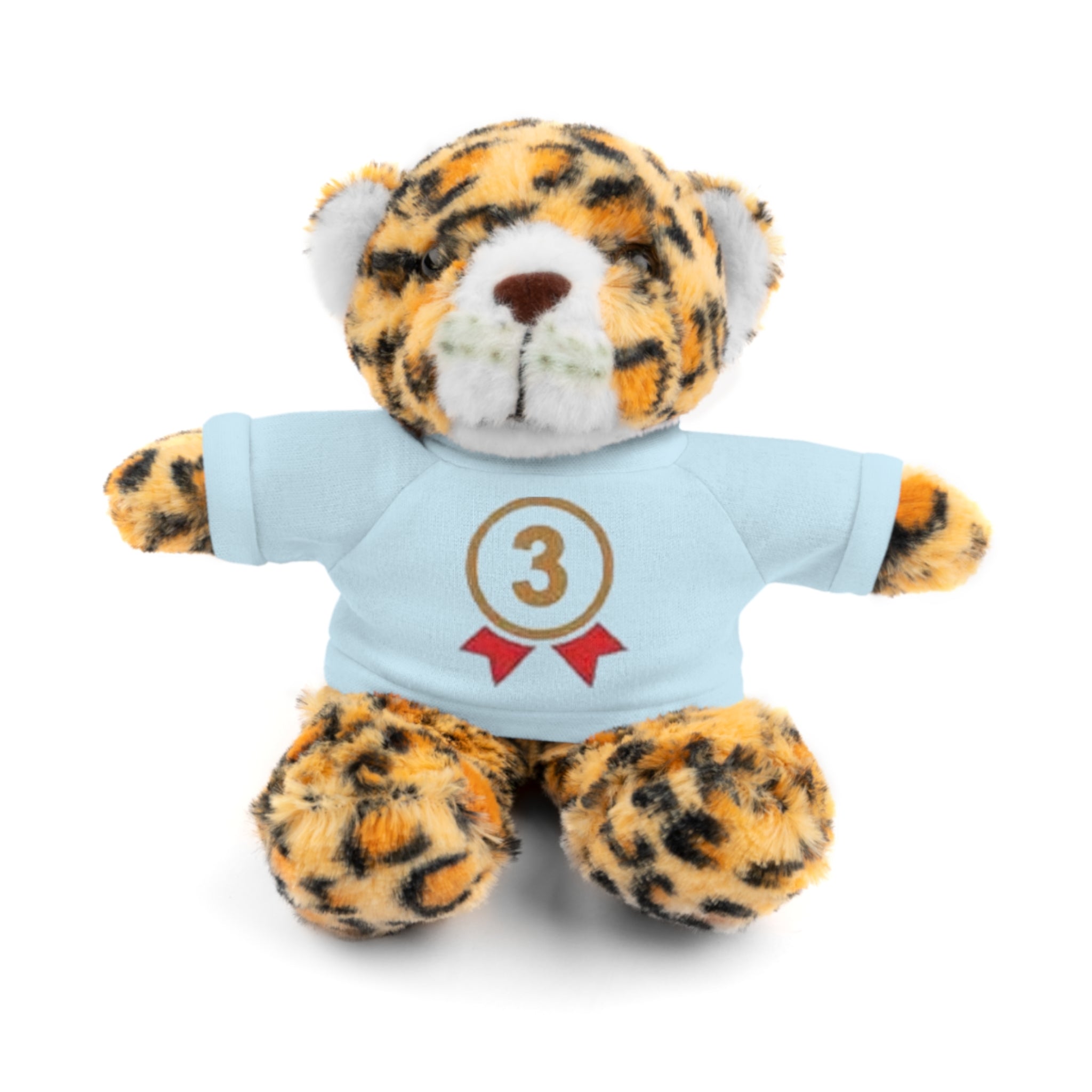 3rd Place Gymnastics Stuffed Animal with Gymnastics T-Shirt