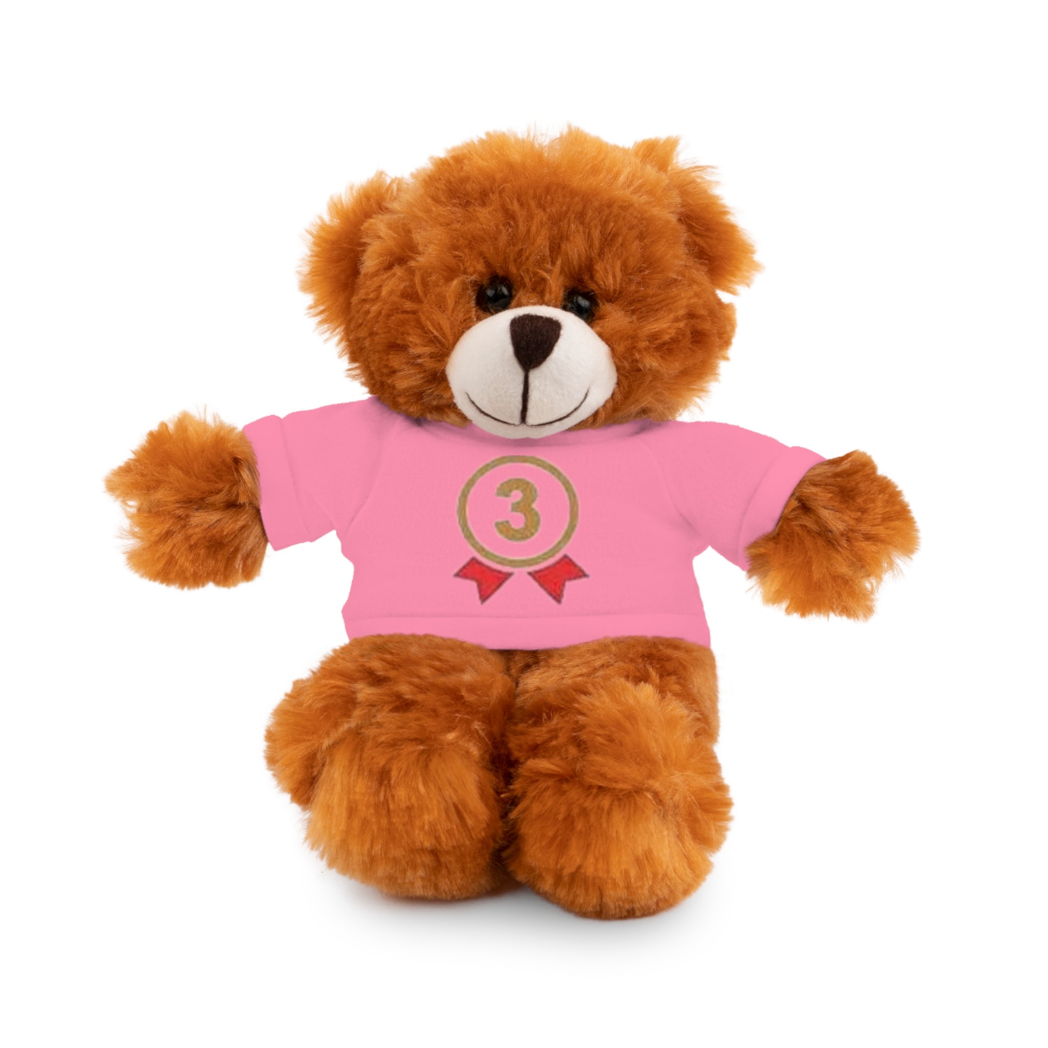 3rd Place Gymnastics Stuffed Animal with Gymnastics T-Shirt