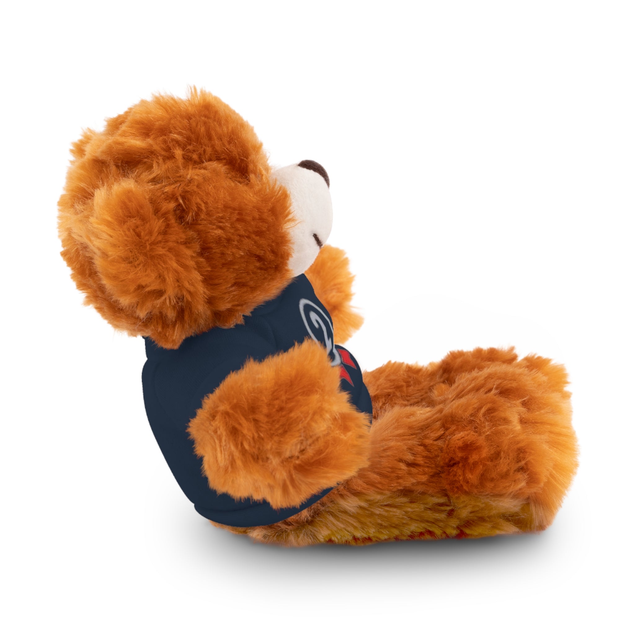 2nd Place Gymnastics Stuffed Animal with Gymnastics T-Shirt