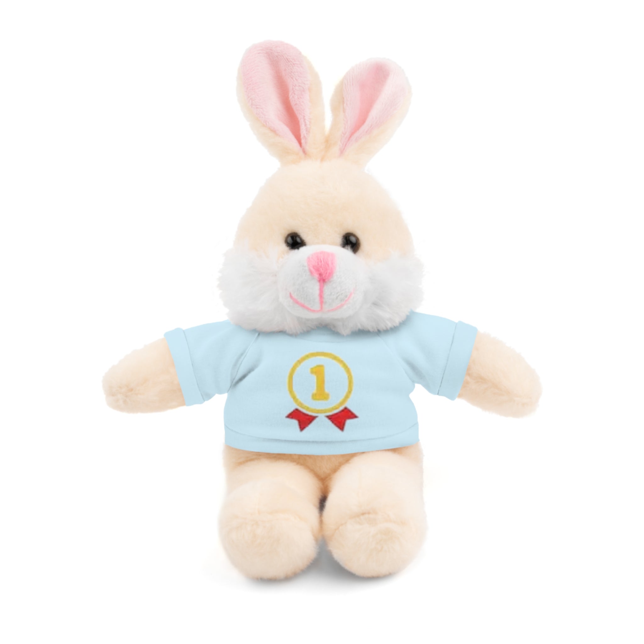 1st Place Gymnastics Stuffed Animal with Gymnastics T-Shirt