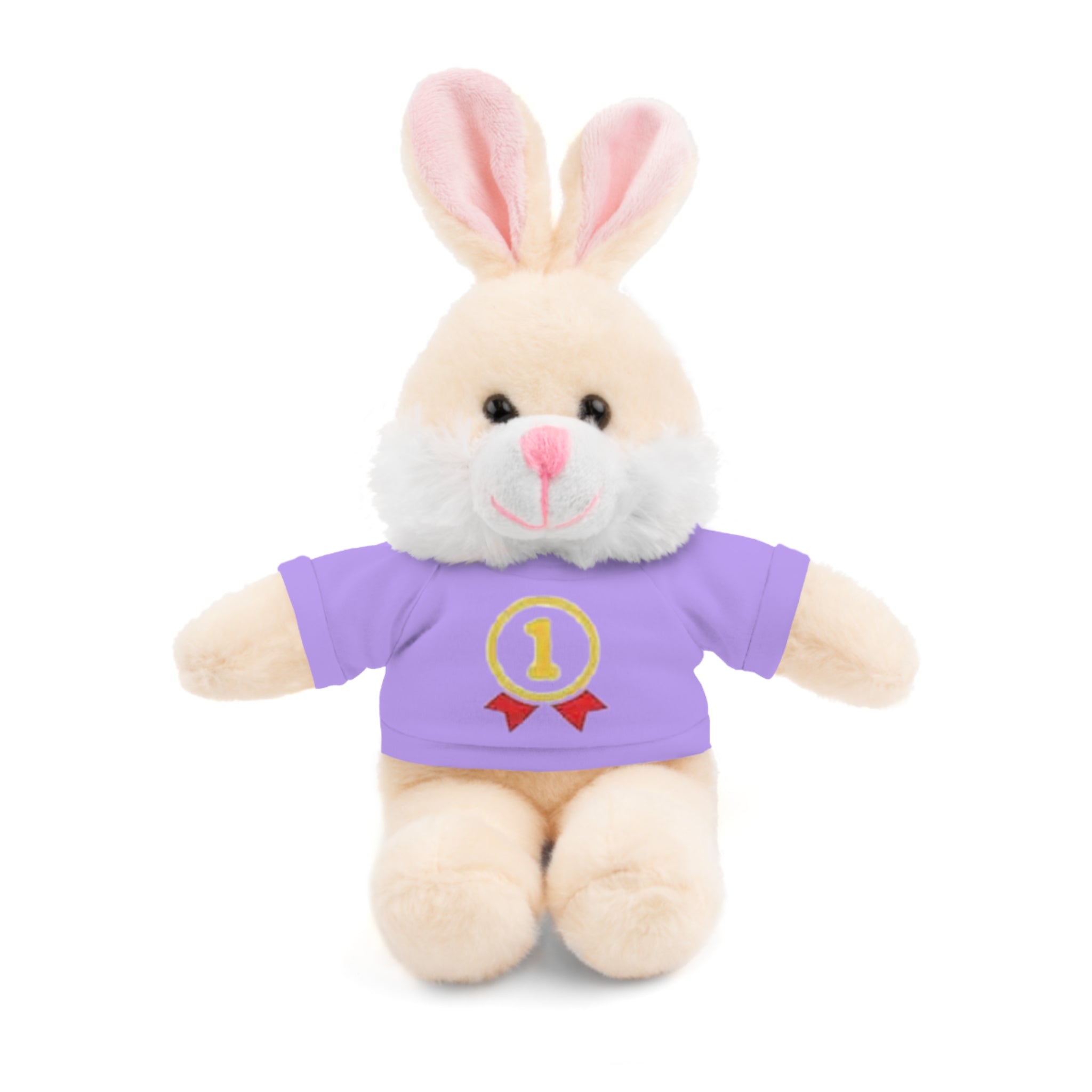 1st Place Gymnastics Stuffed Animal with Gymnastics T-Shirt