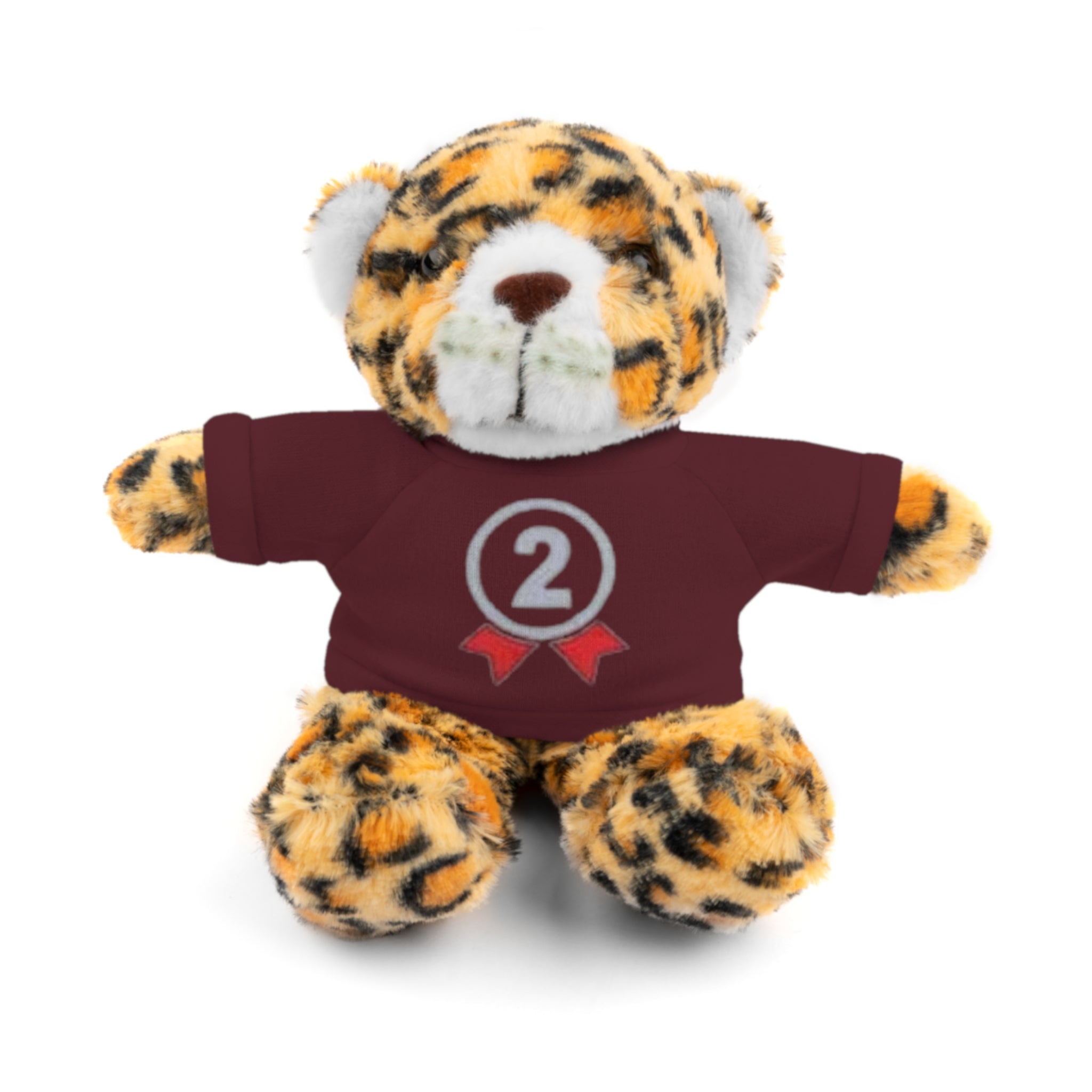 2nd Place Gymnastics Stuffed Animal with Gymnastics T-Shirt